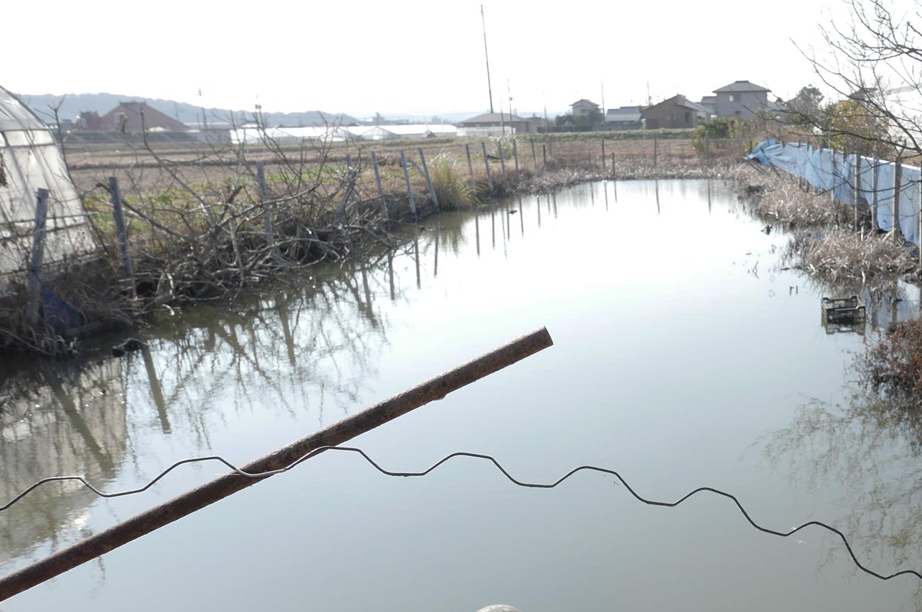 【この溜池の水を利用するので費用は電気代のみ】