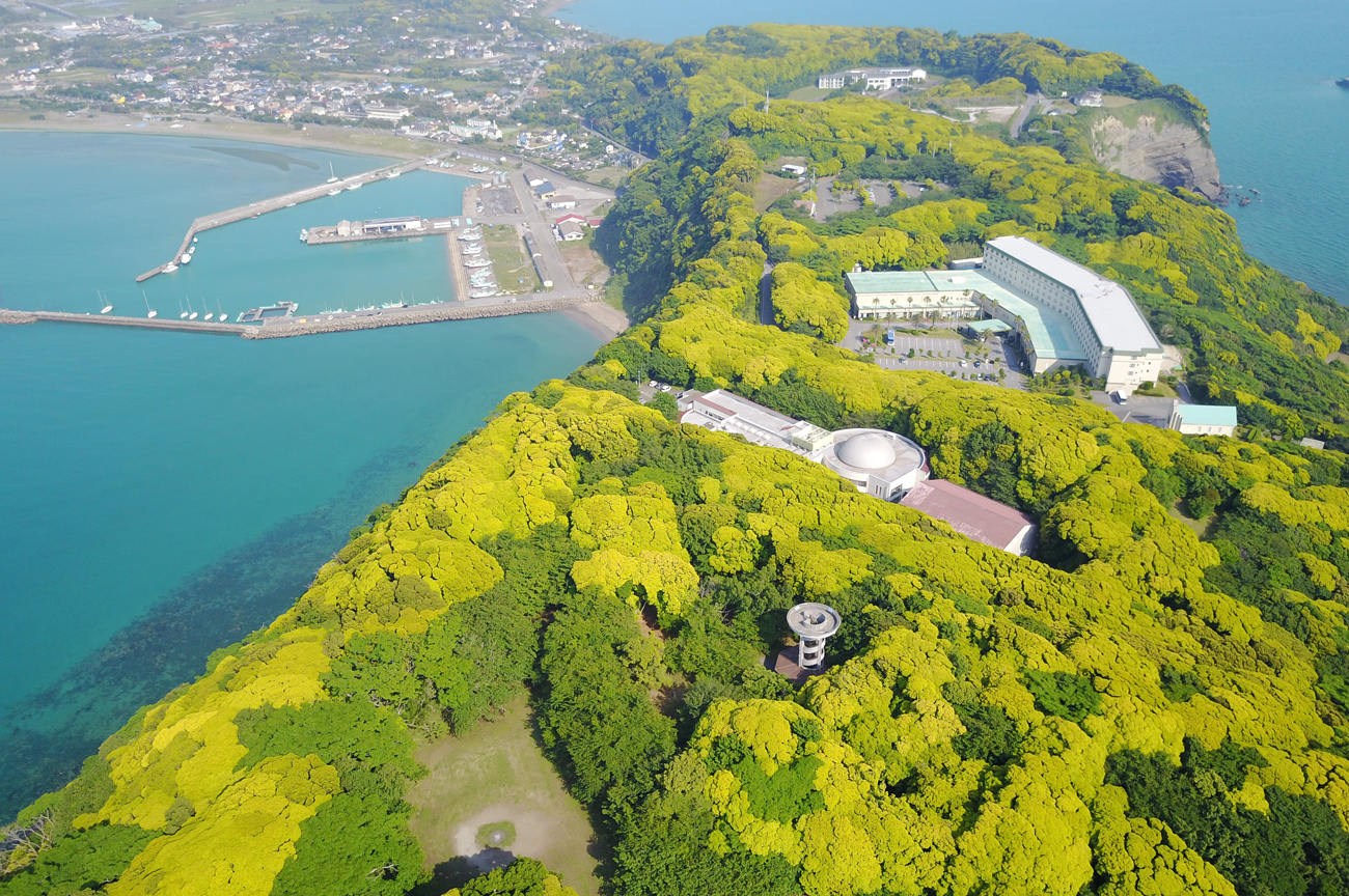 【店舗がある大房岬】