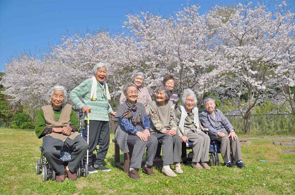 【裏庭でのお花見（提供：社会福祉法人白寿会）】<br />
