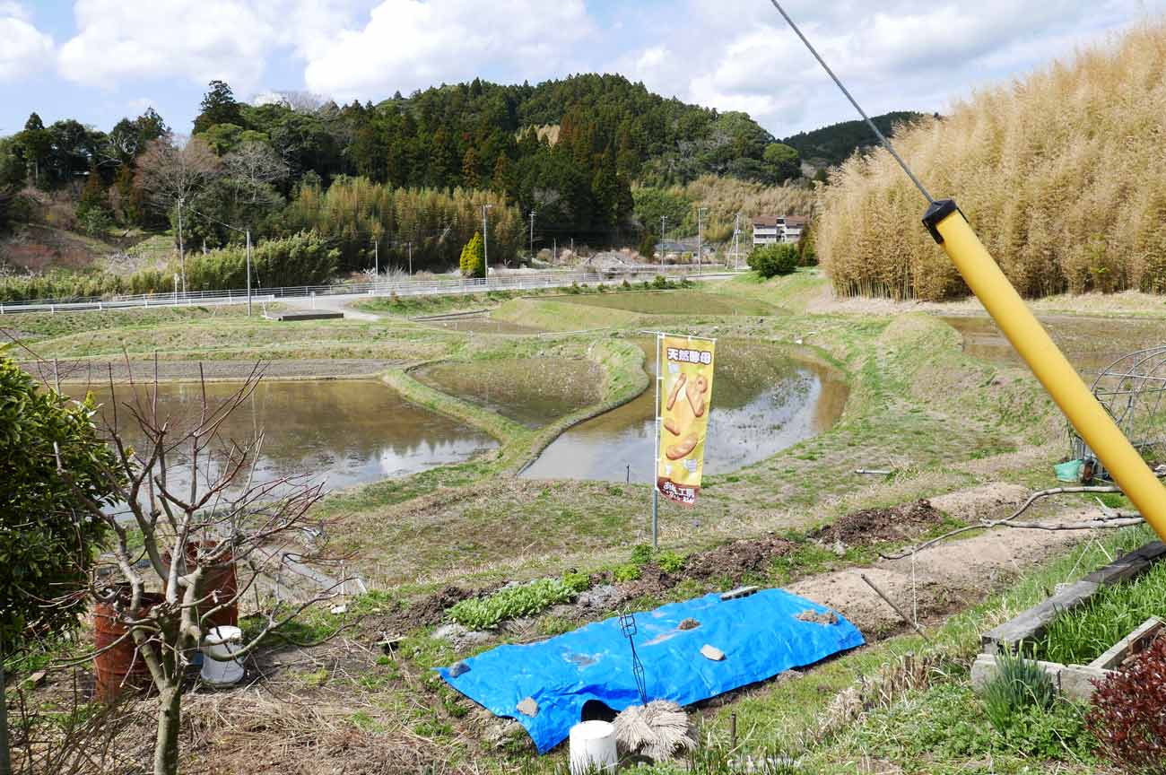 【周囲は里山と棚田】