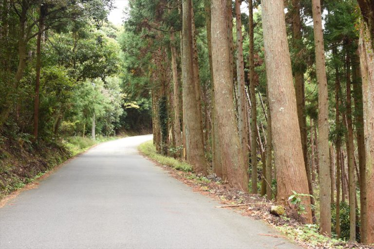 【クラブまでの山道】