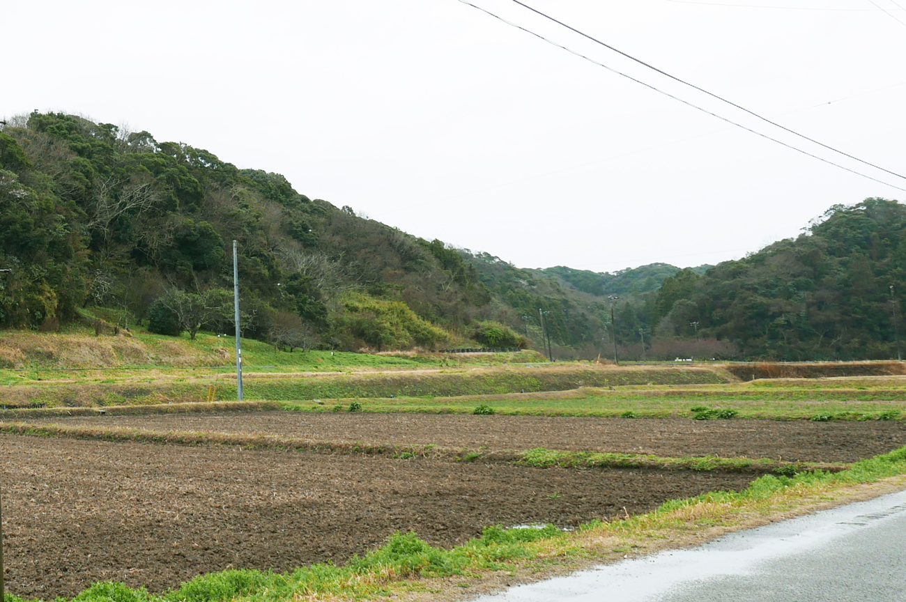 【周辺の里山】