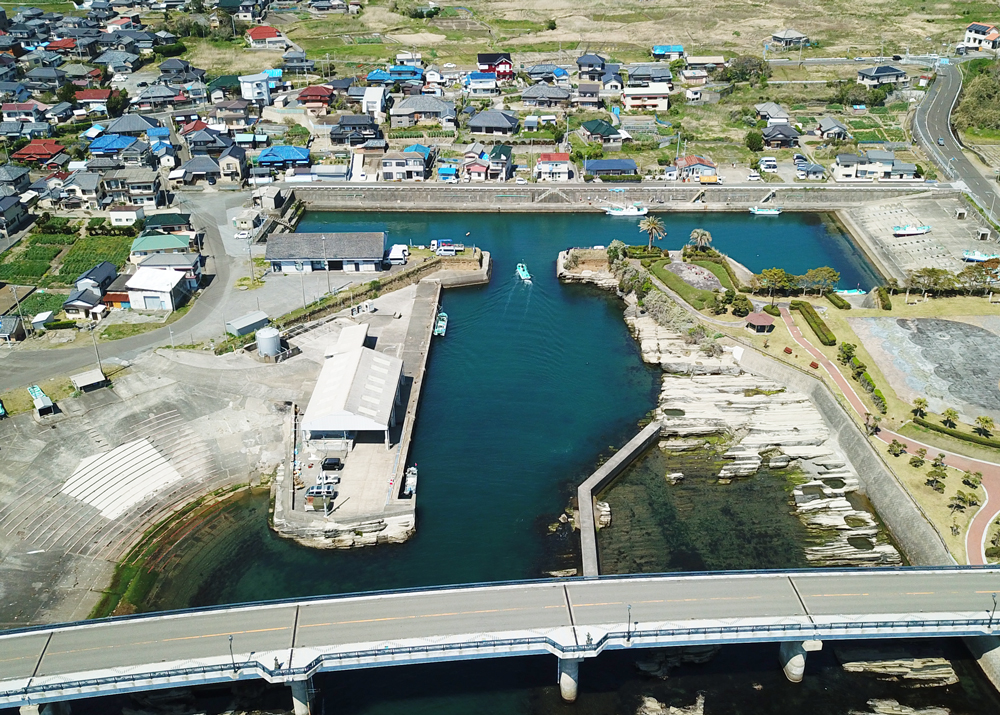 【温暖な白浜・千倉地区】