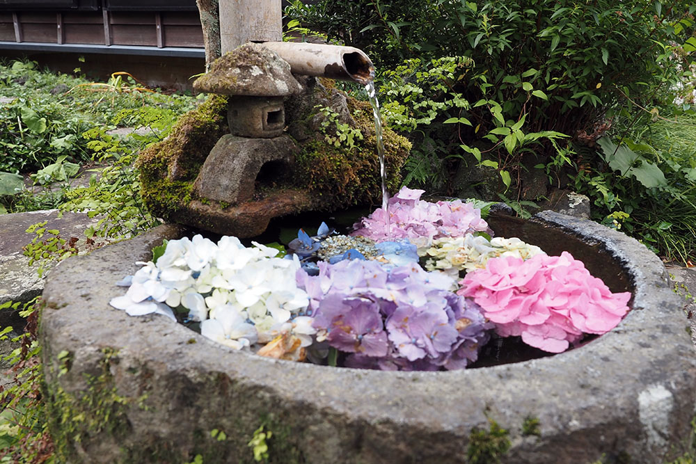 【アジサイを浮かべた花手水】