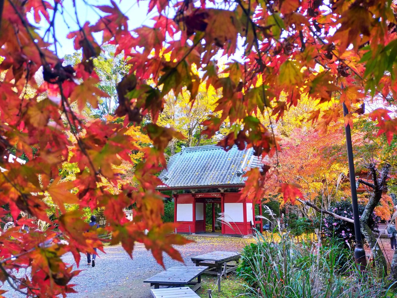 小松寺/千倉地区