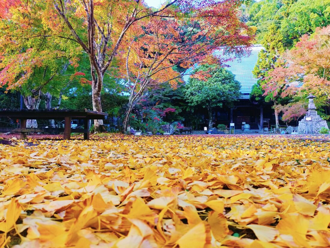 小松寺/千倉地区
