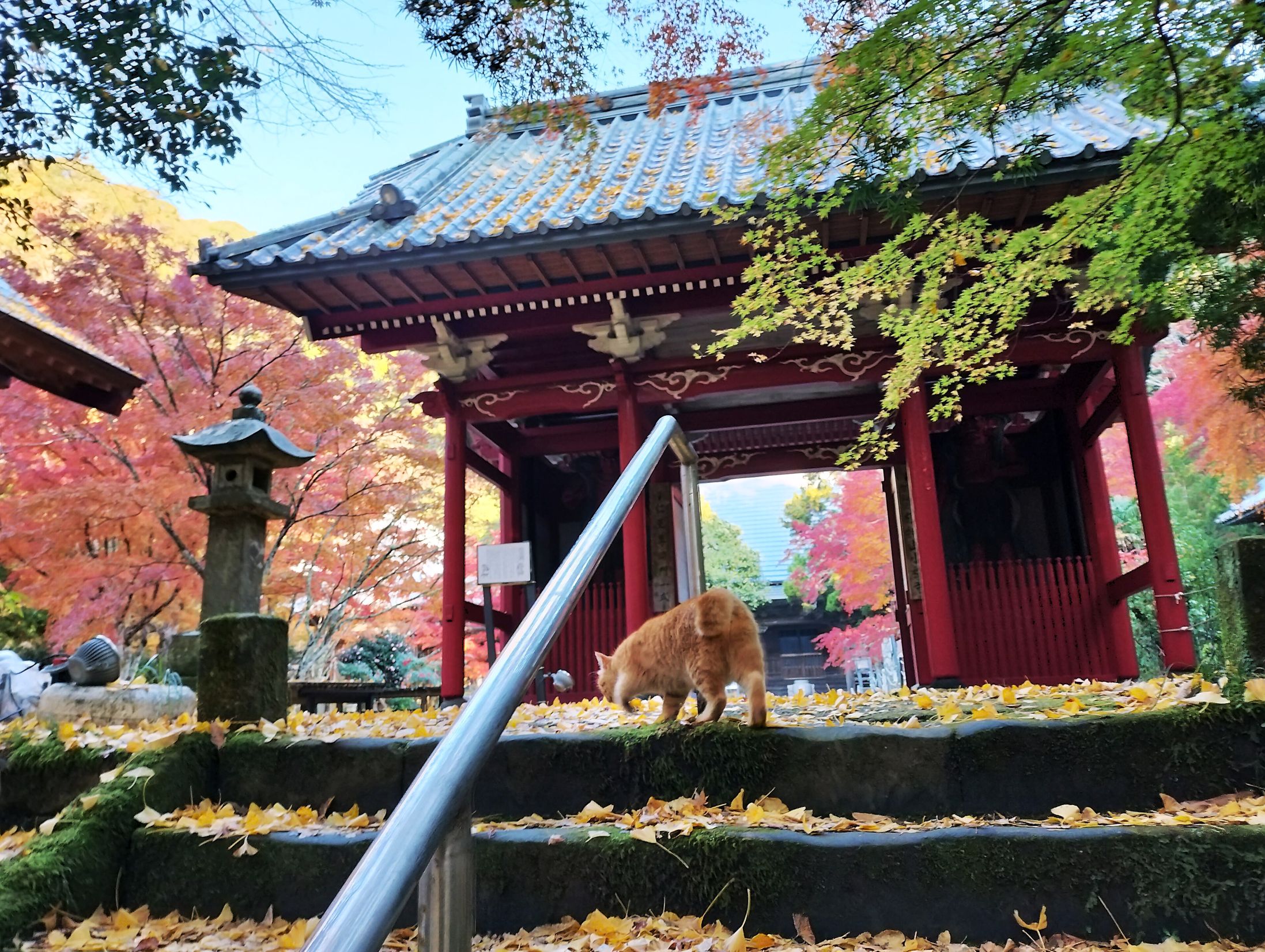 小松寺/千倉地区