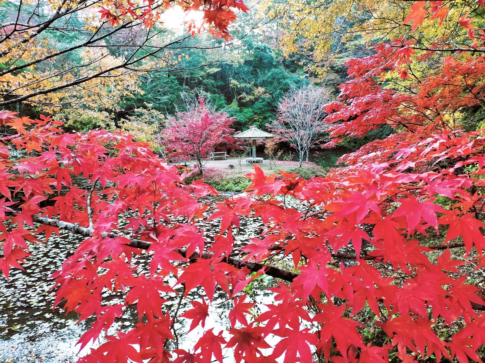 小松寺/千倉地区
