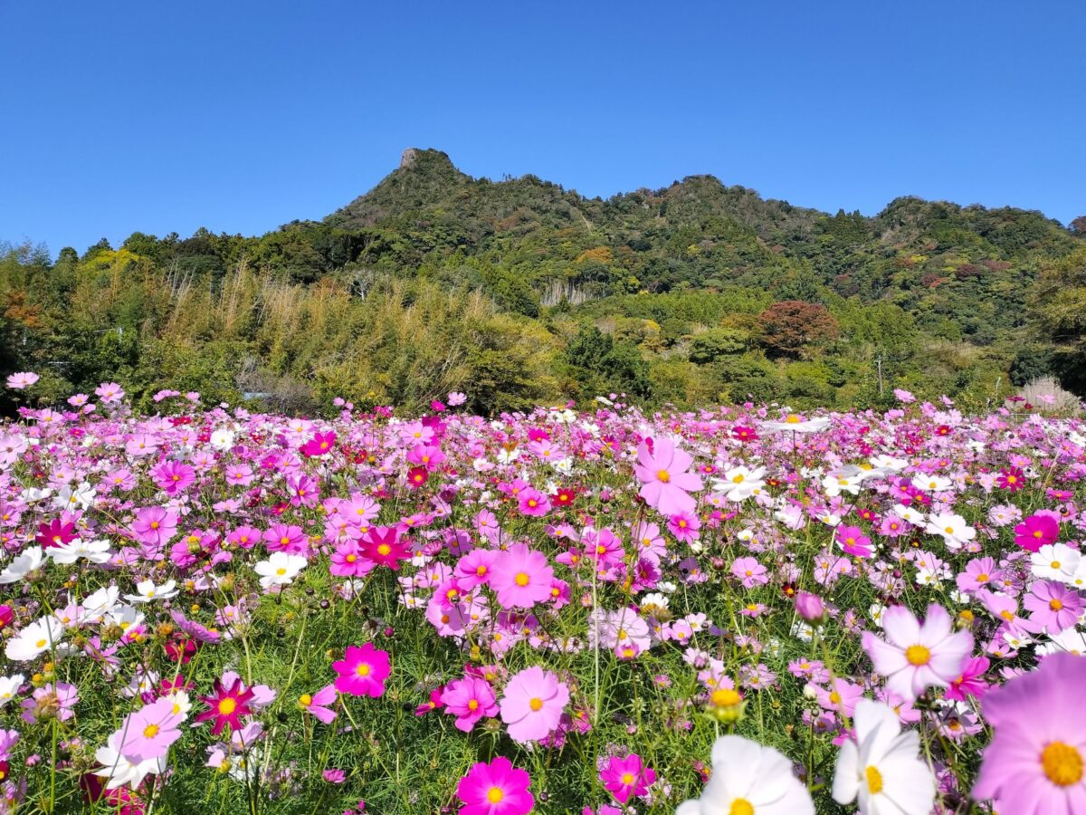 伊予ヶ岳/富山地区