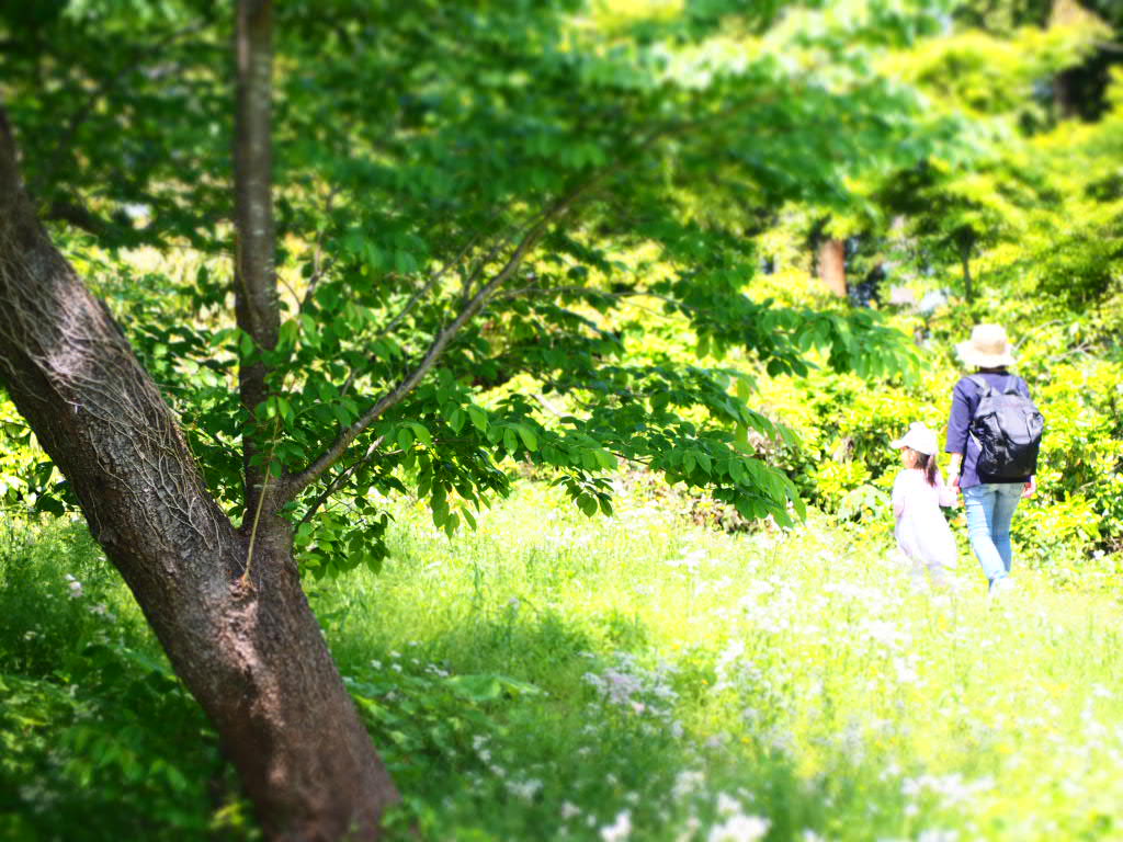 里山散策/三芳地区
