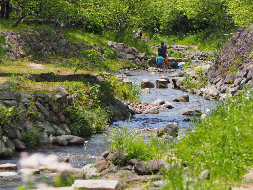 酪農の里/丸山地区