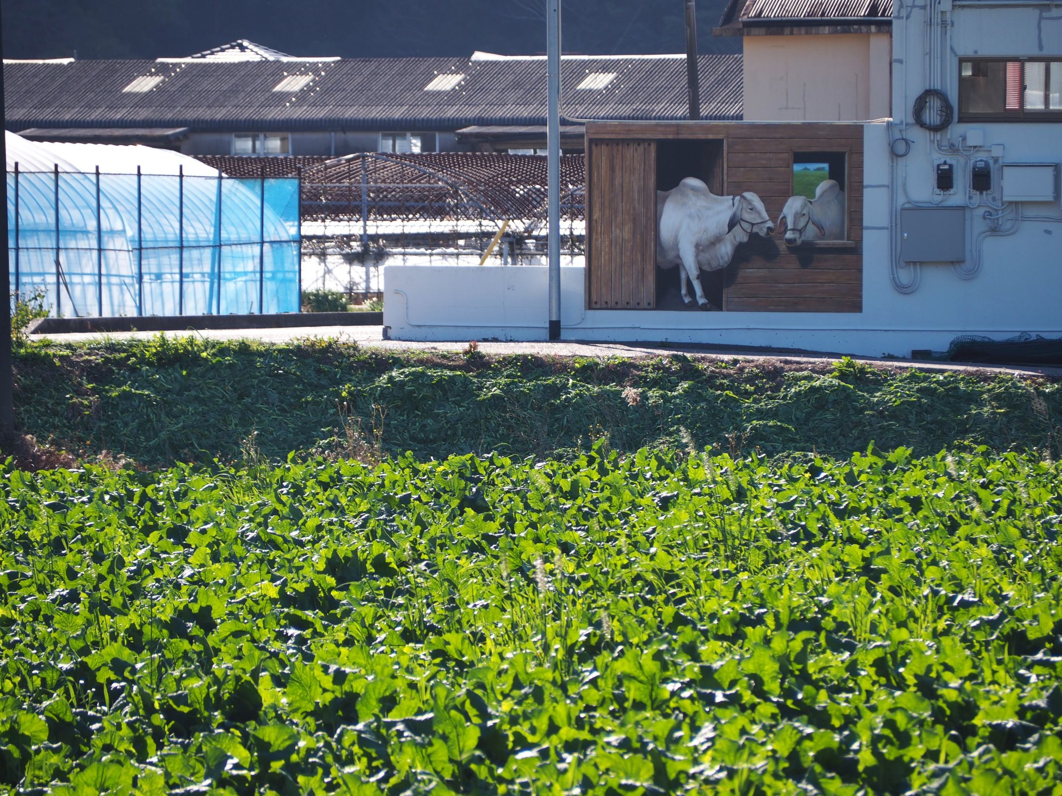 トリックアート/丸山地区