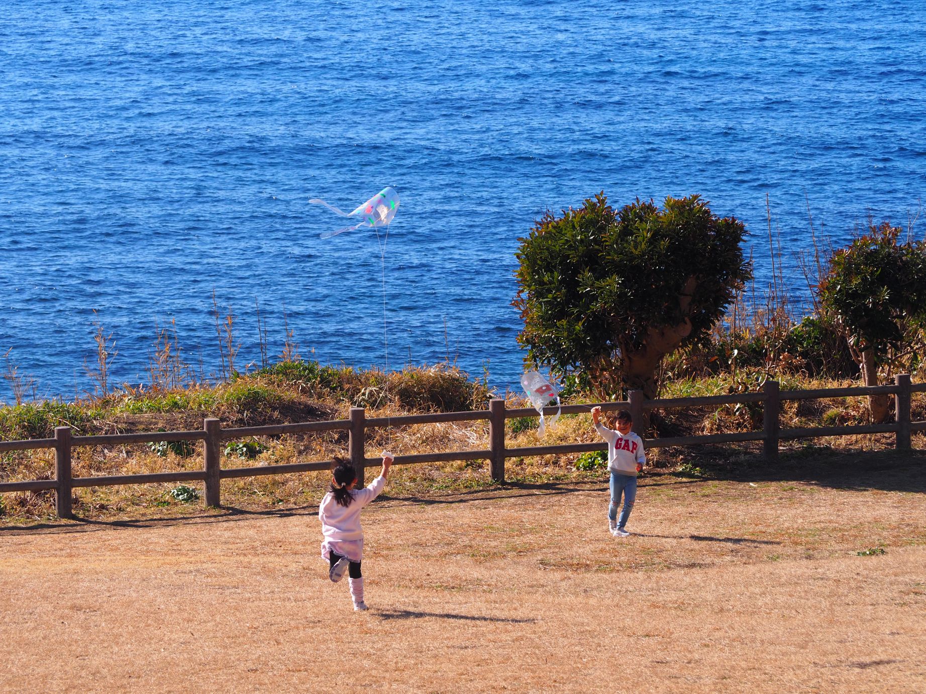 南芝生園地/大房岬