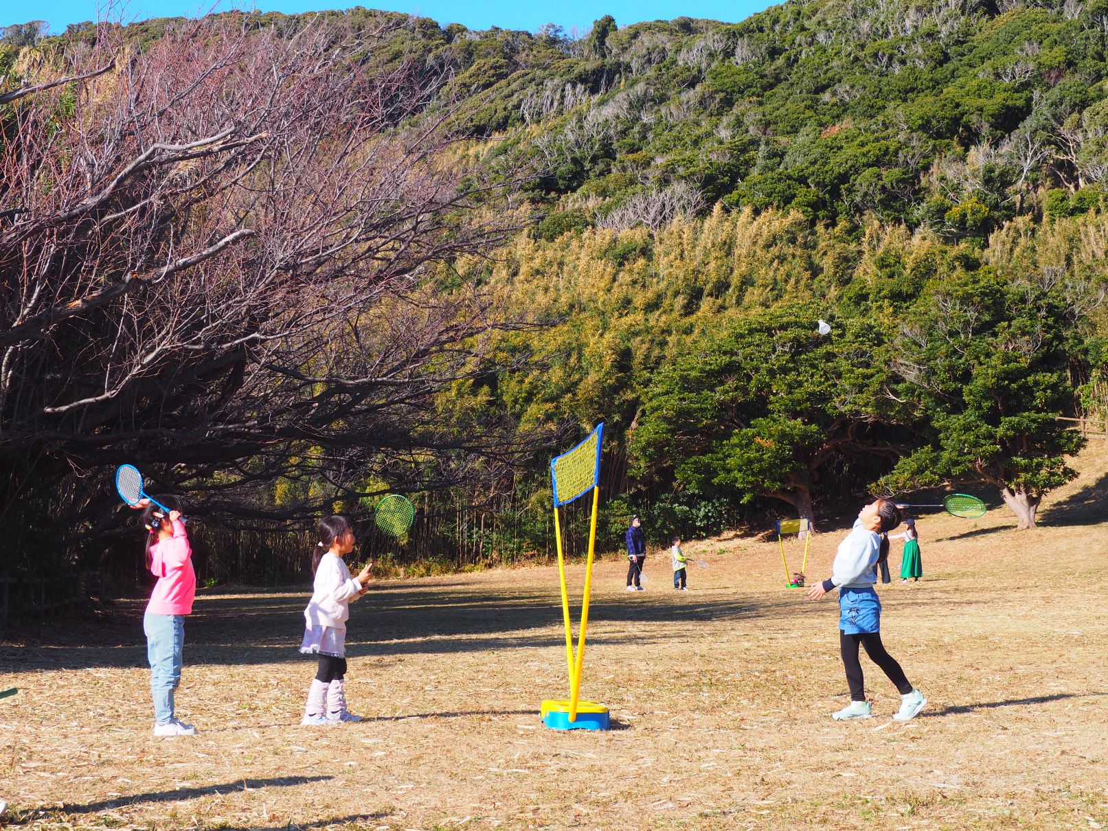 海岸園地/大房岬