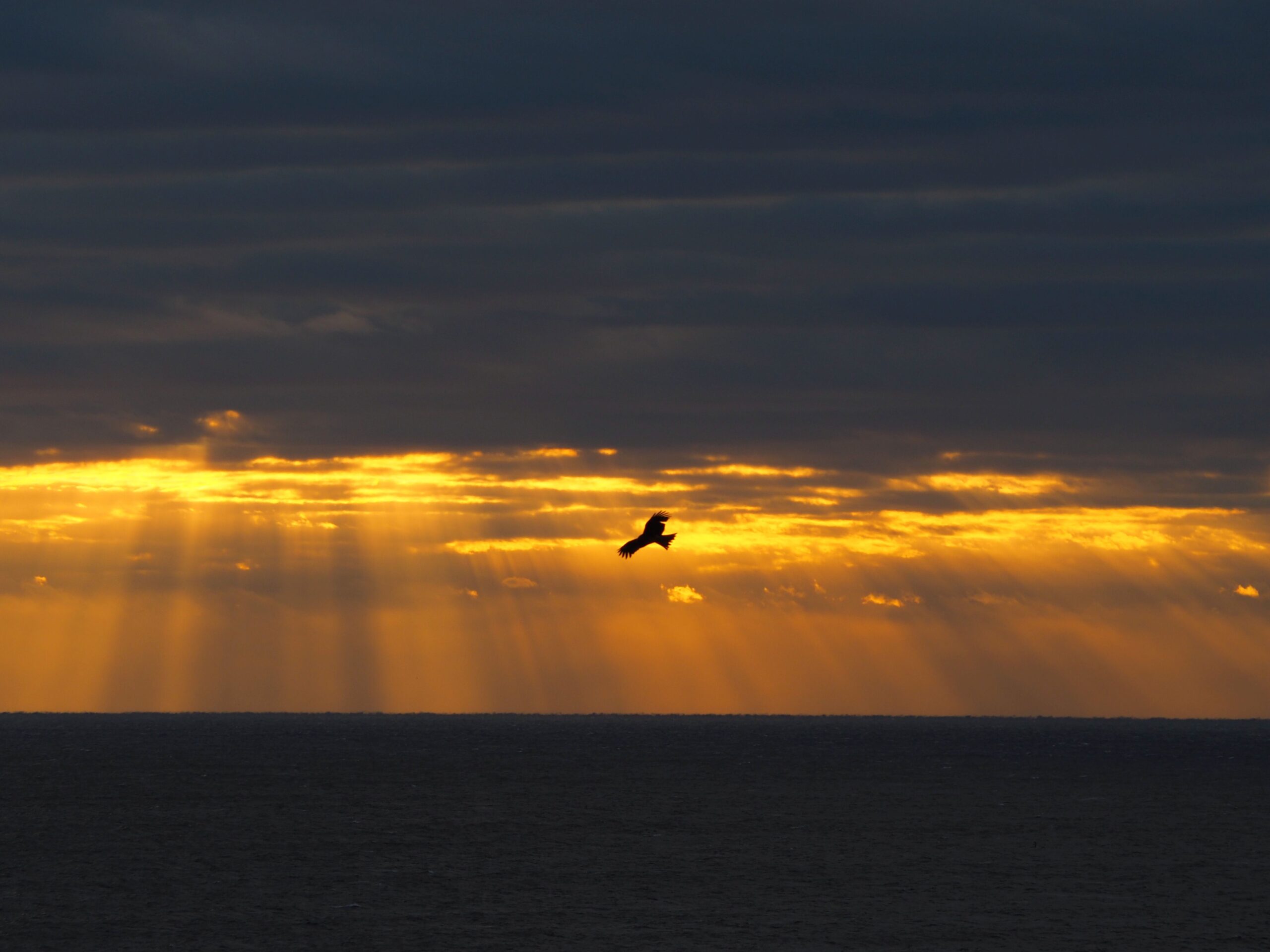 天使の梯子/外房