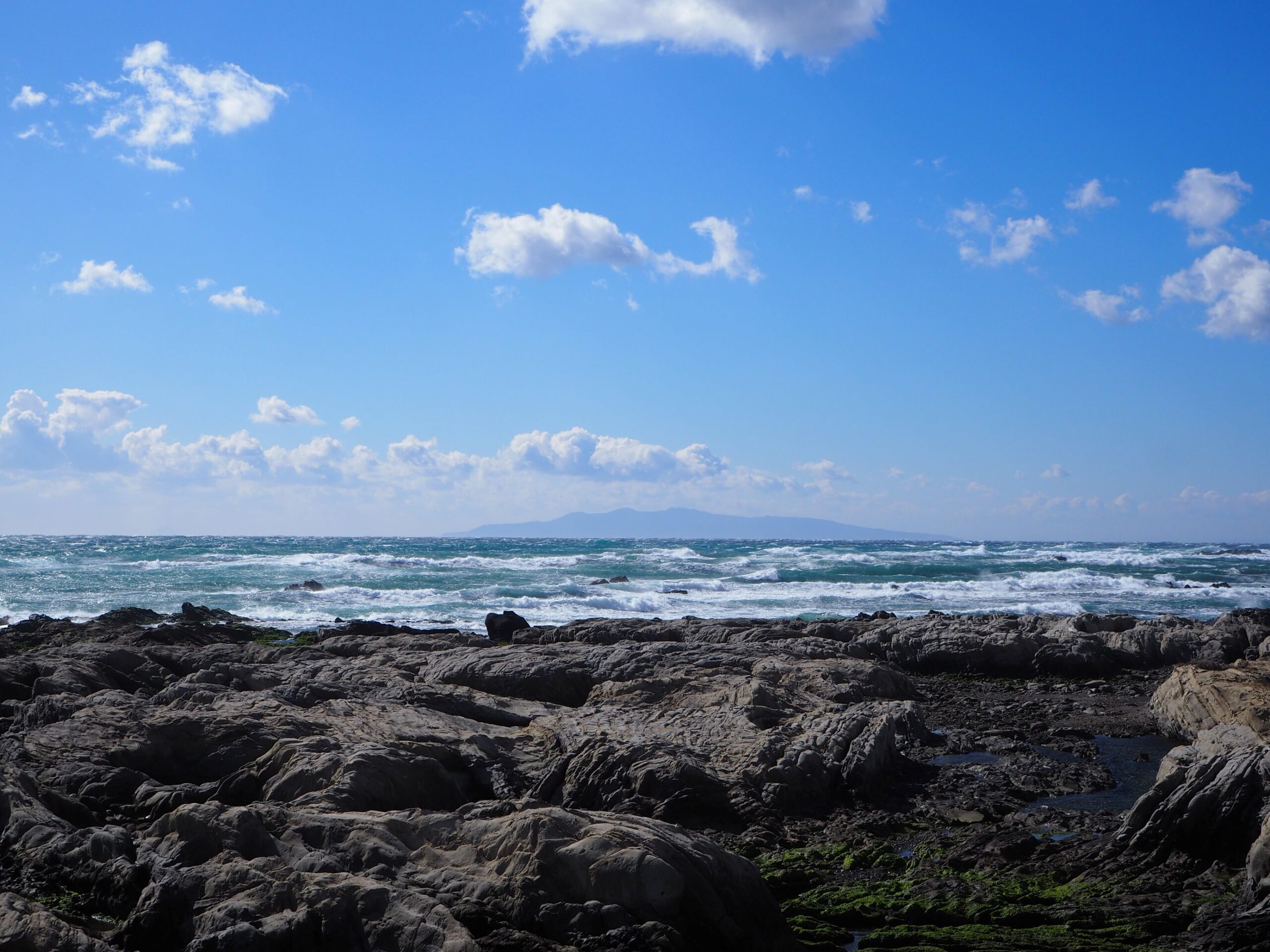 大島を望む/白浜地区
