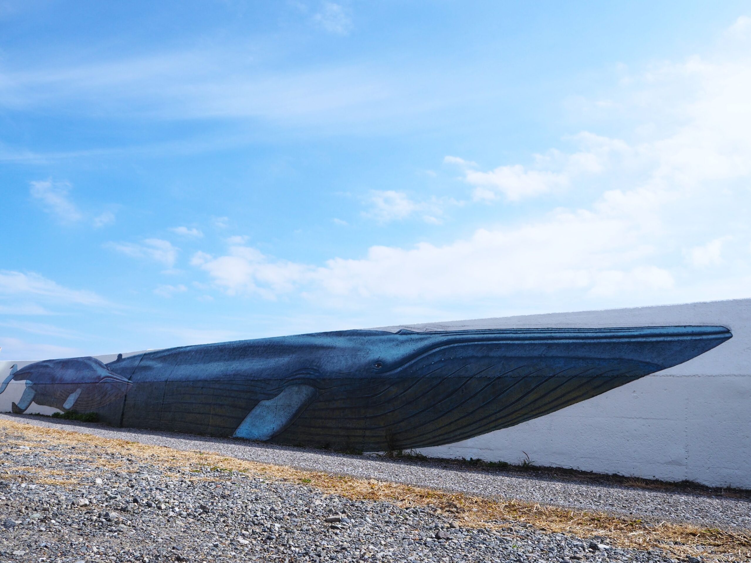 ちくらアートな海の散歩道