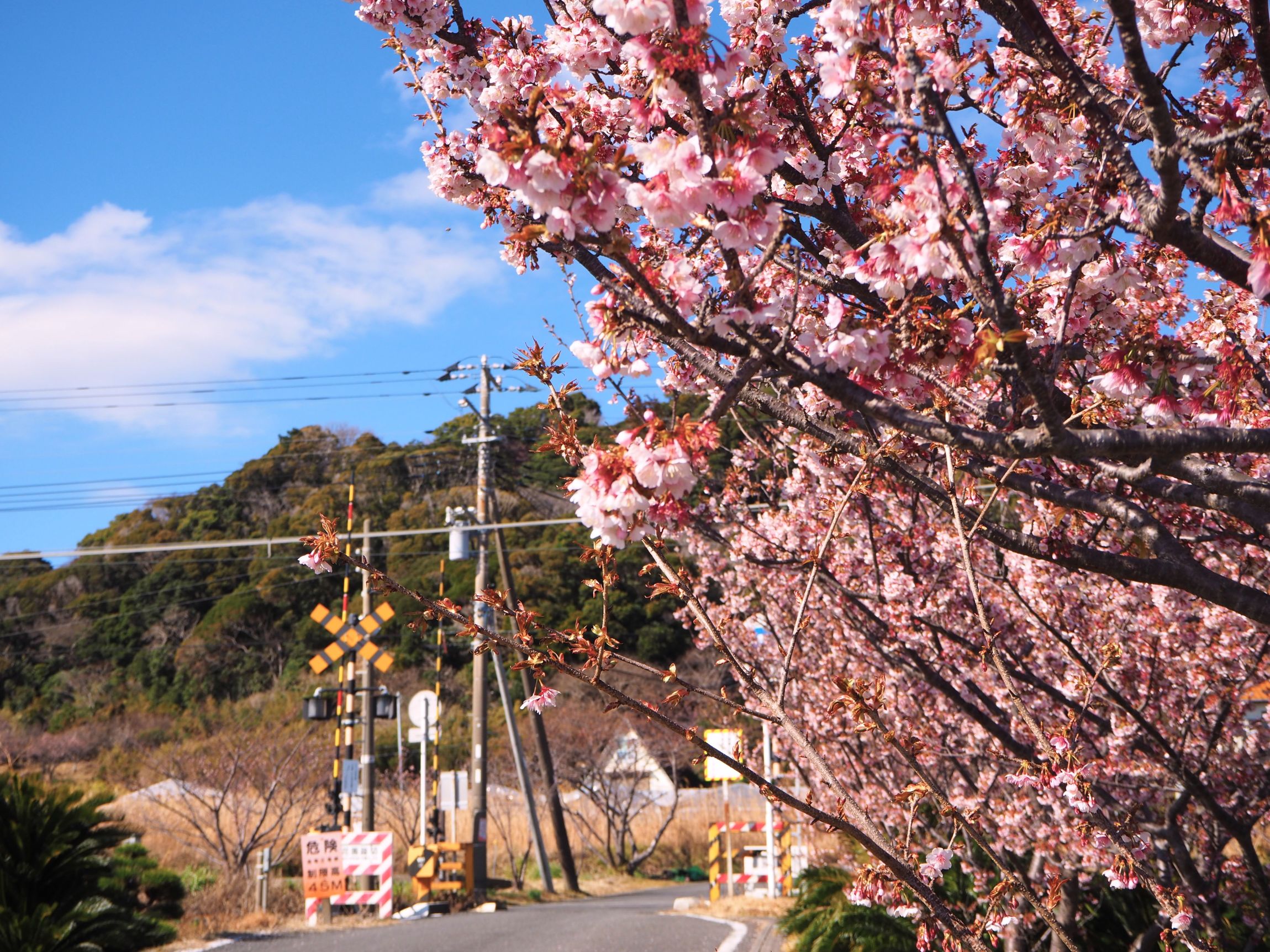 第二花園踏切前/和田地区