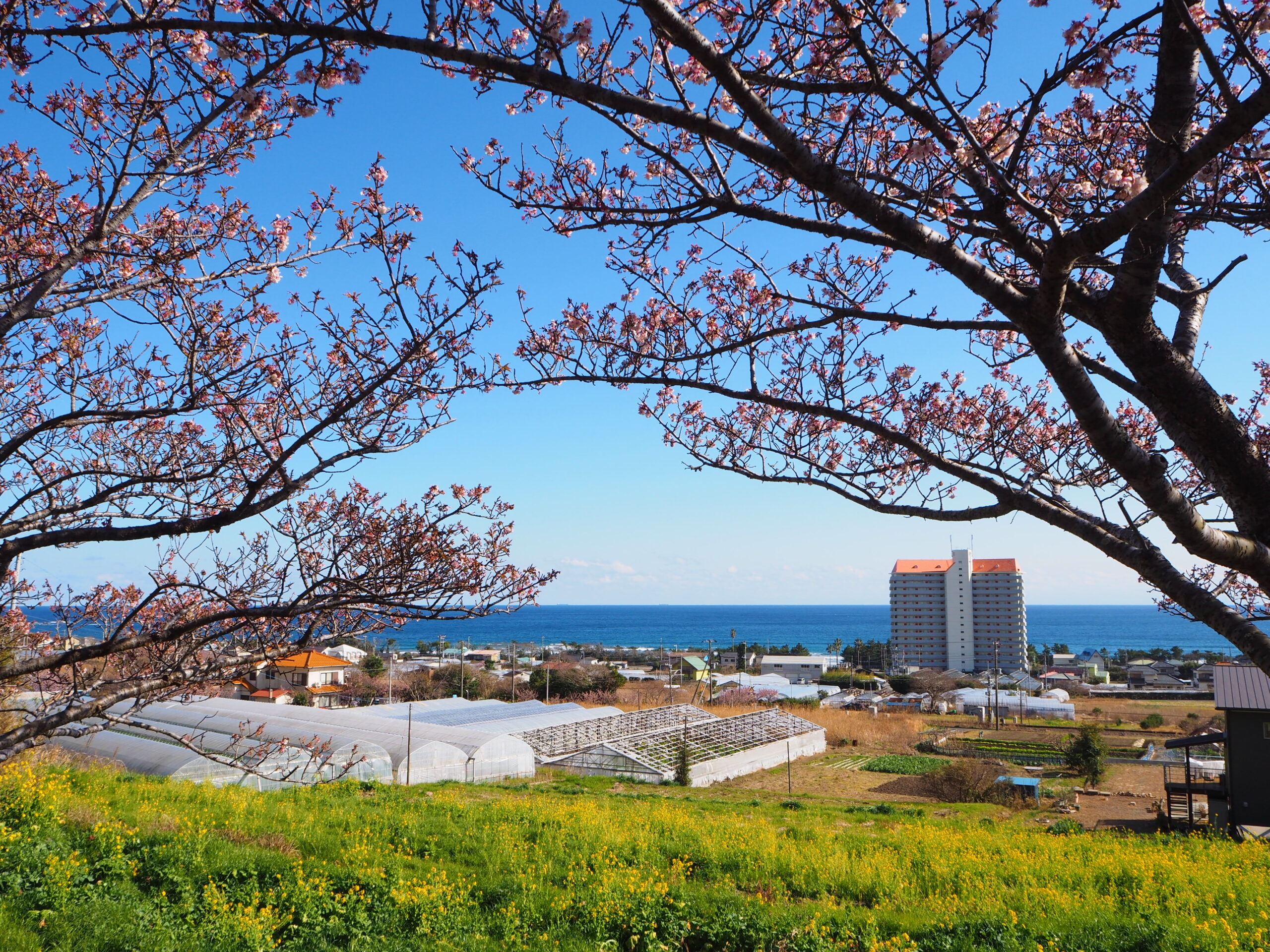 抱湖園/和田地区