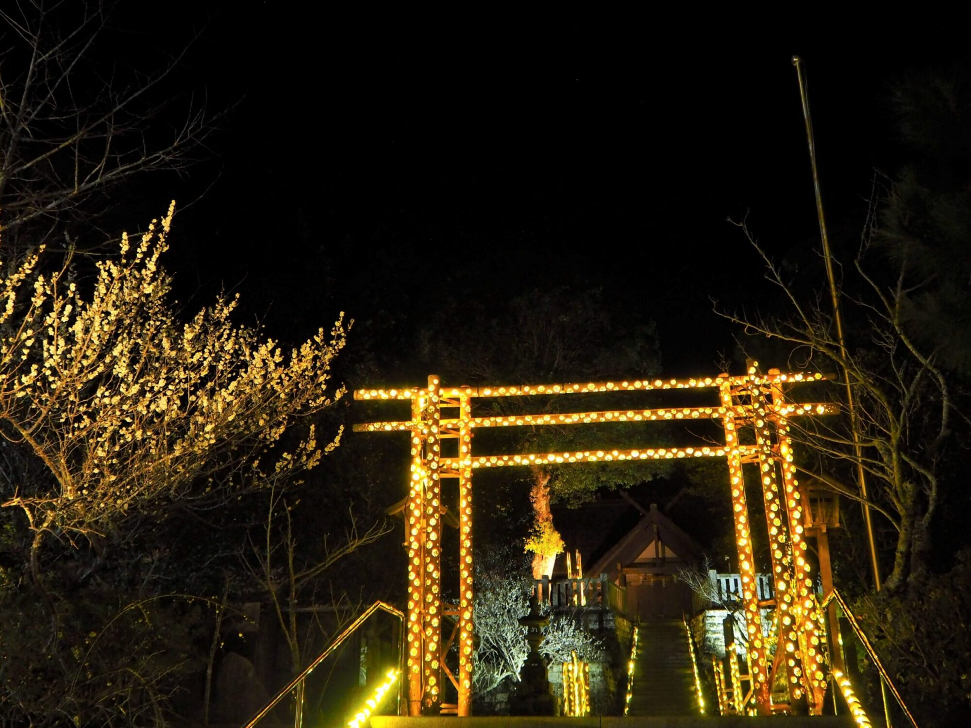 梅と竹あかり/高家神社