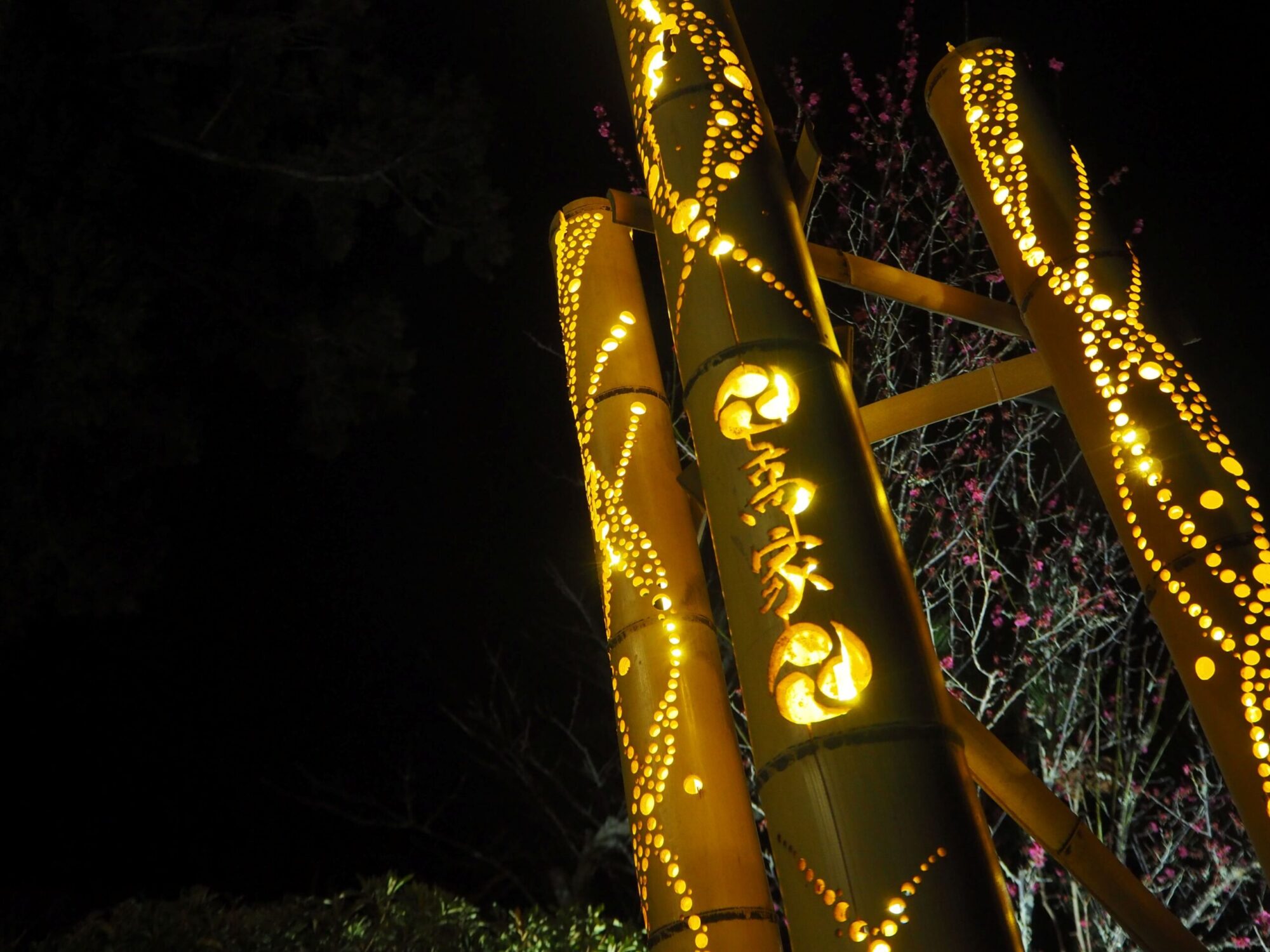 梅と竹あかり/高家神社