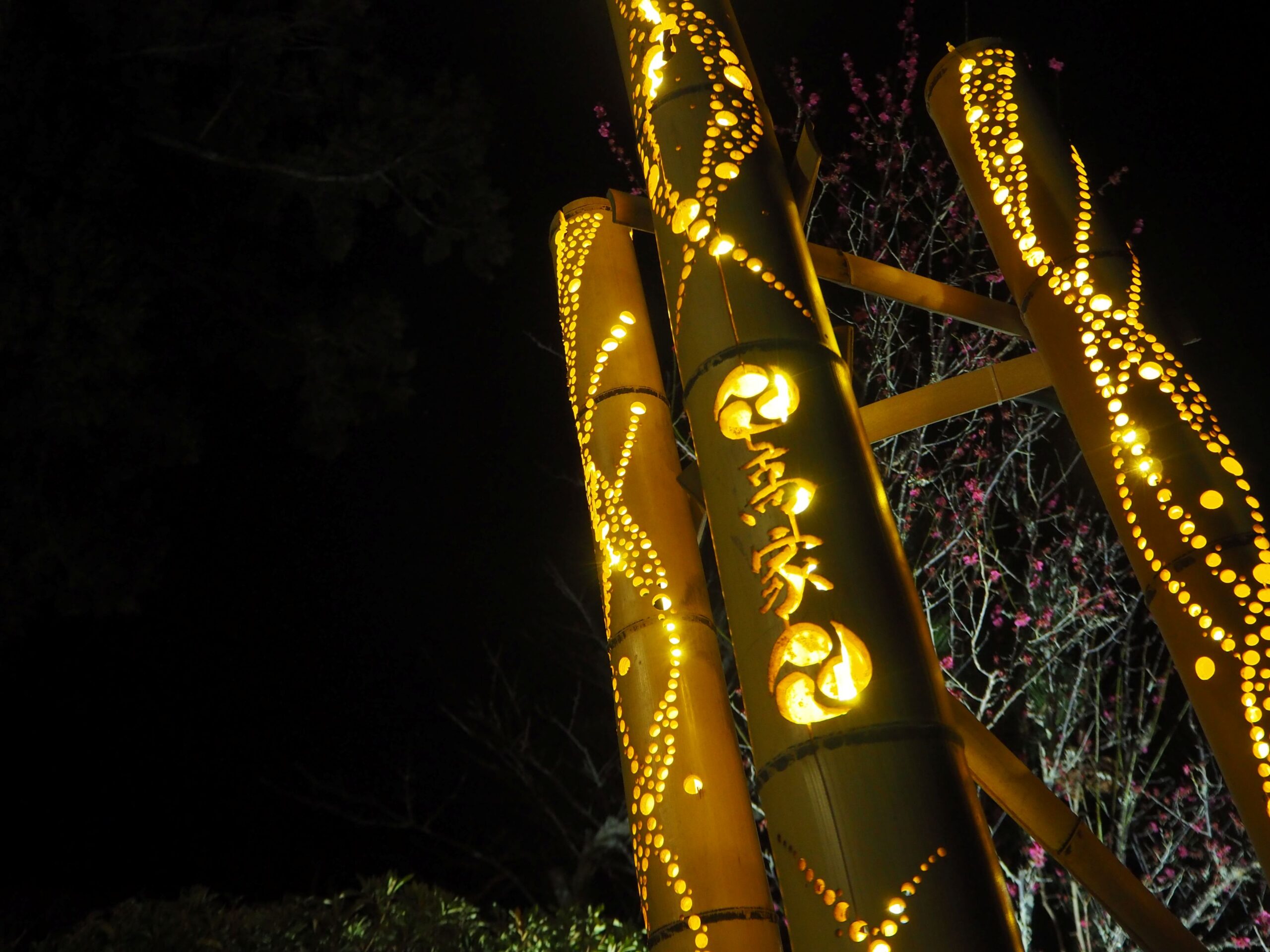 梅と竹あかり/高家神社