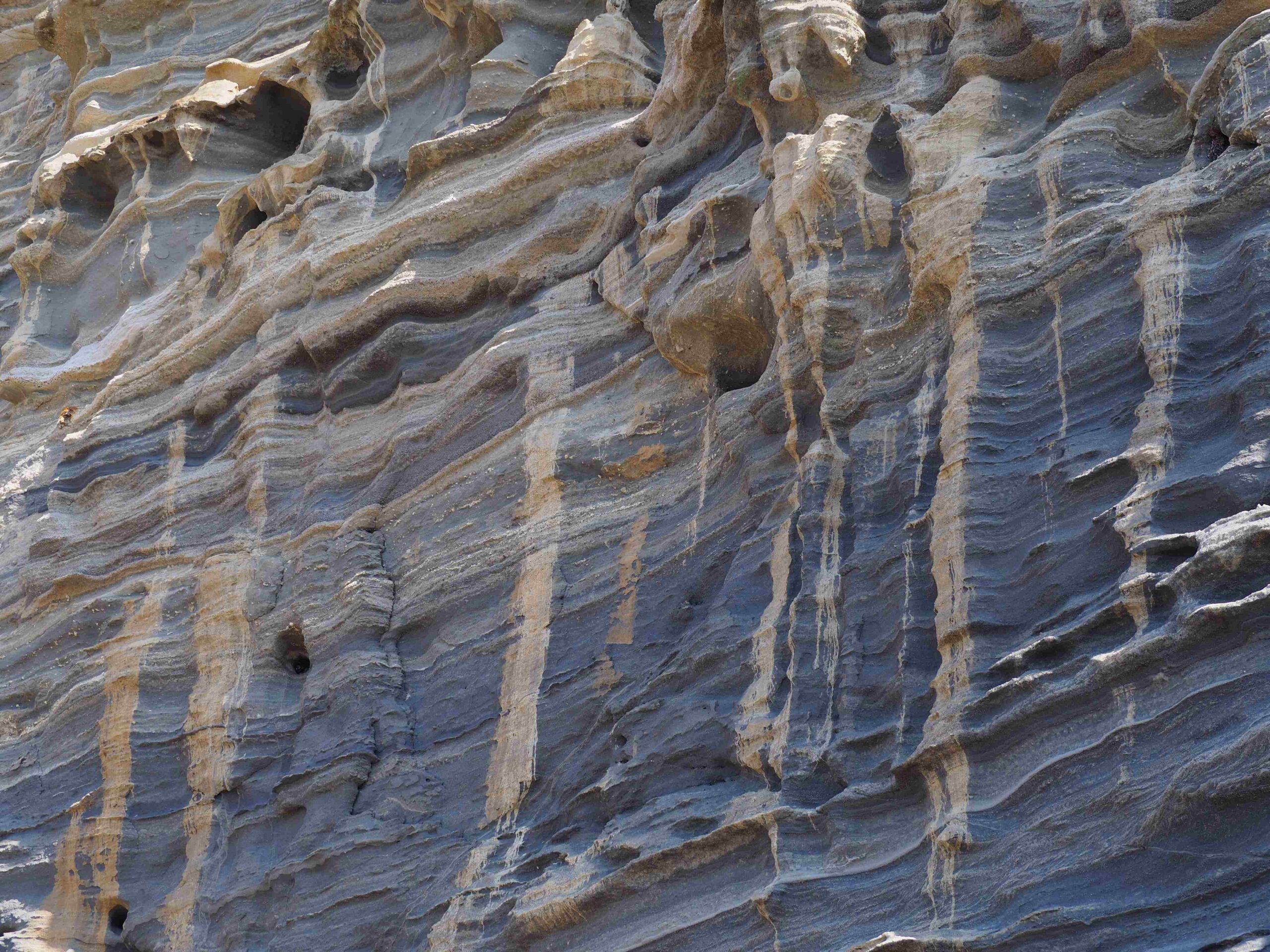 艦砲射撃標的跡/大房岬