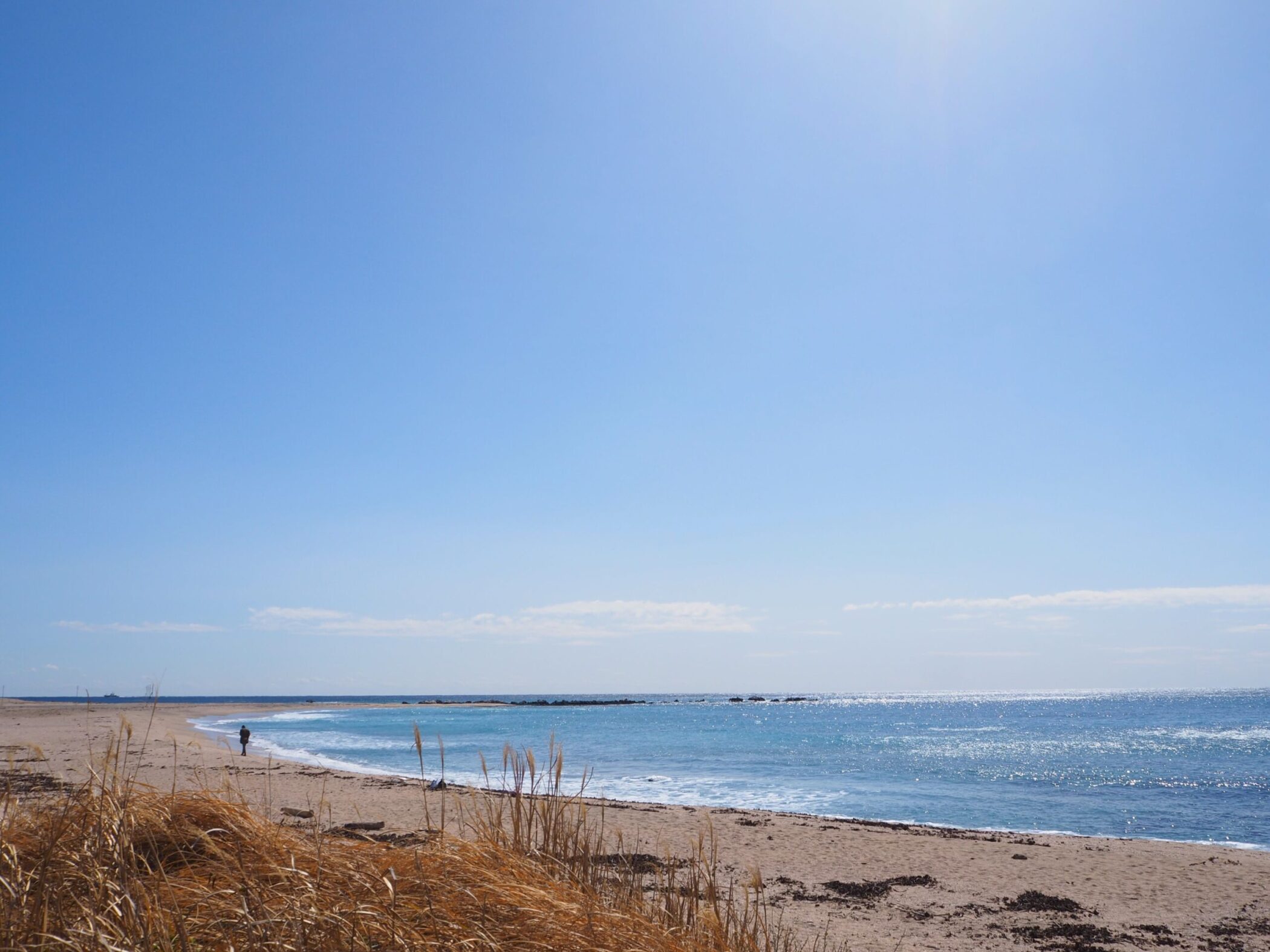 根本海岸/白浜地区