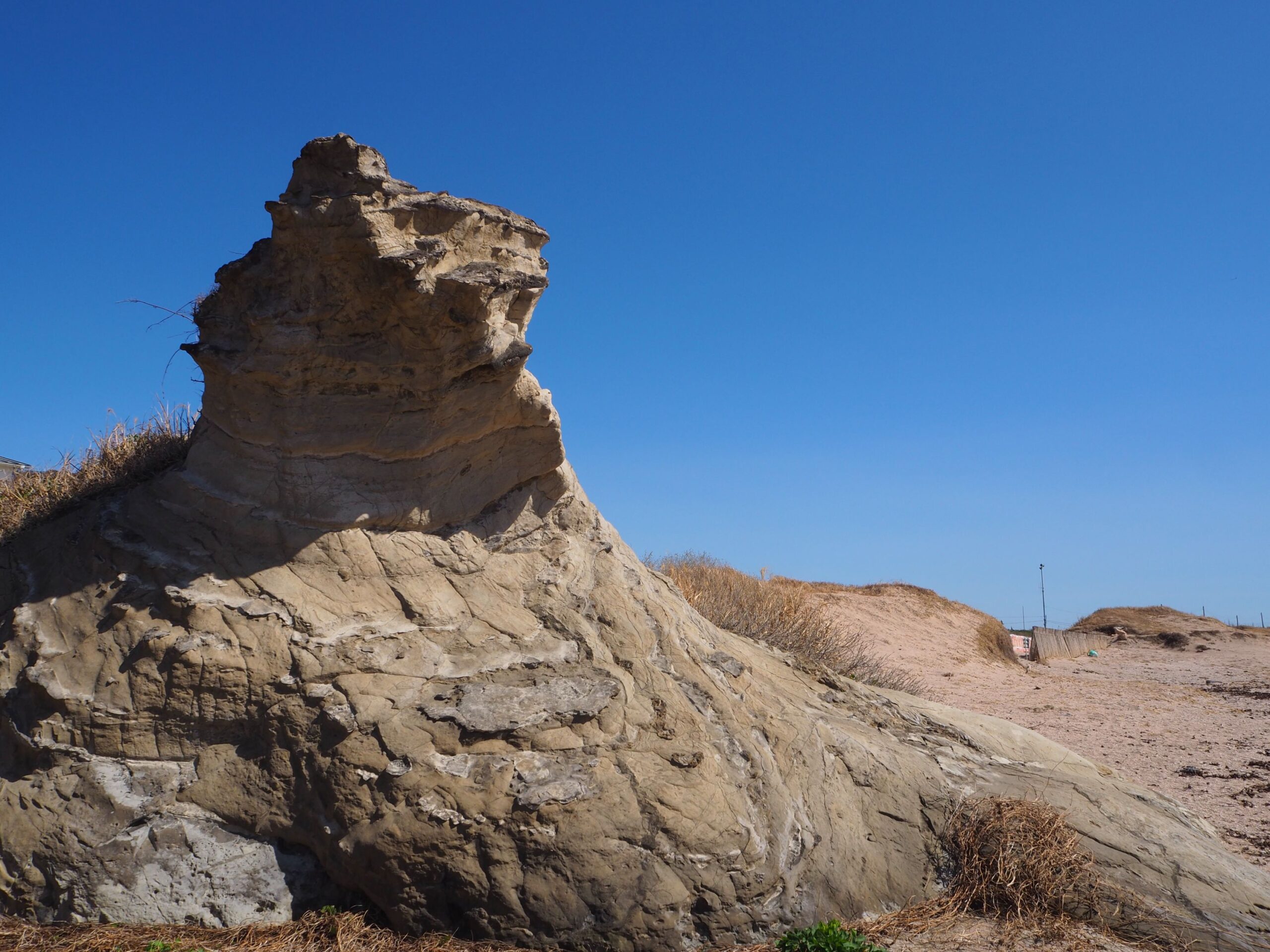 ライオン岩/根本海岸