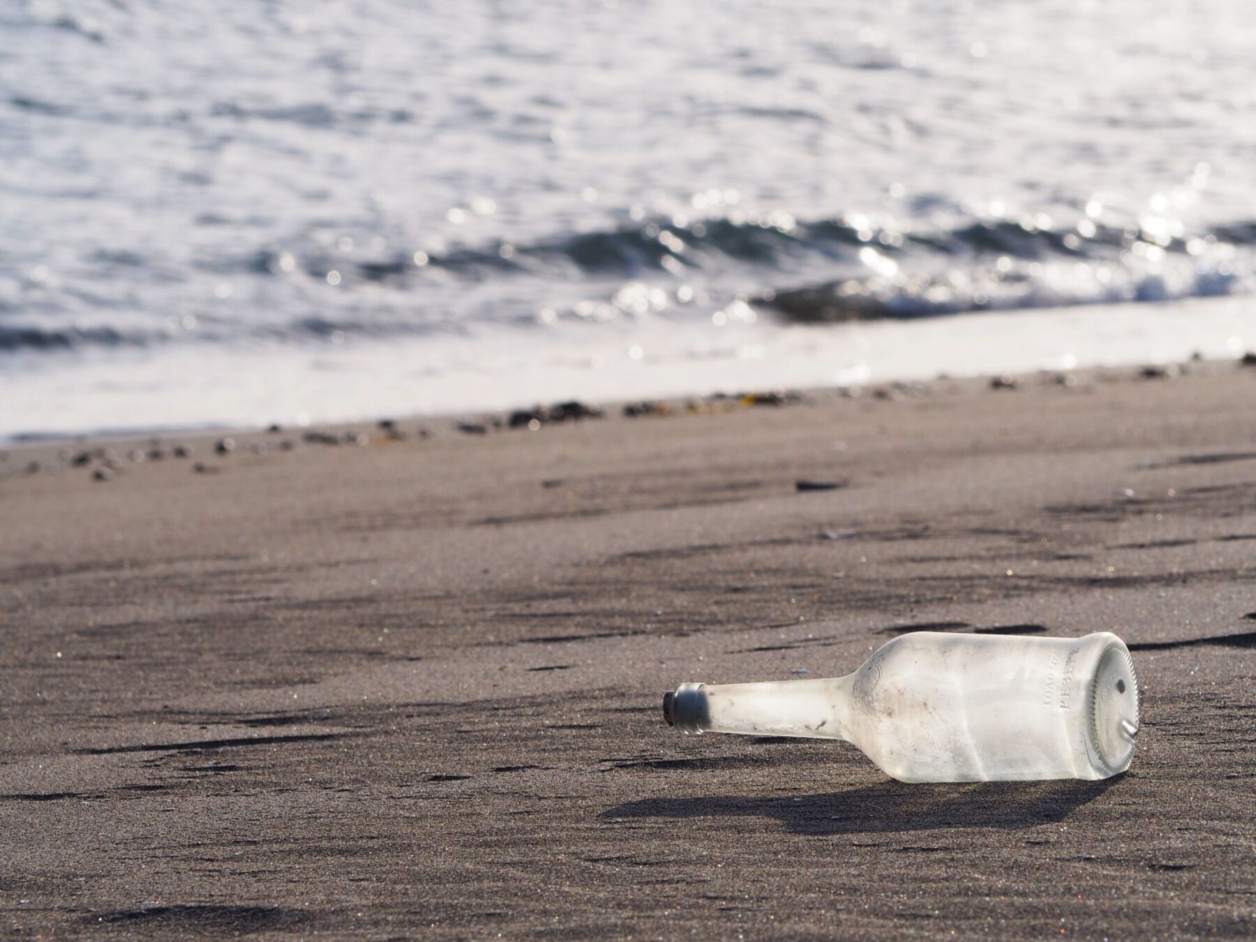 根本海岸/白浜地区