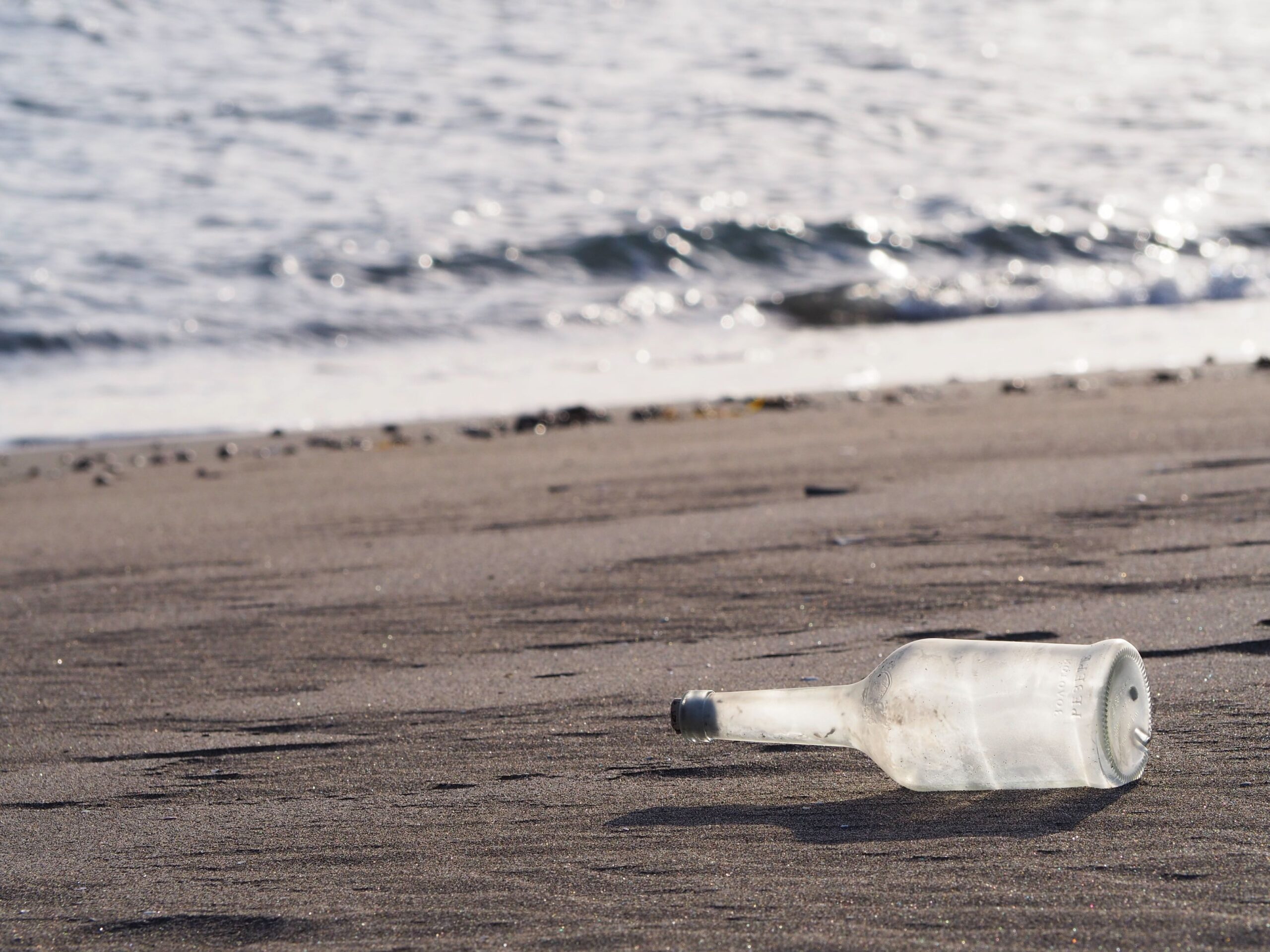 根本海岸/白浜地区