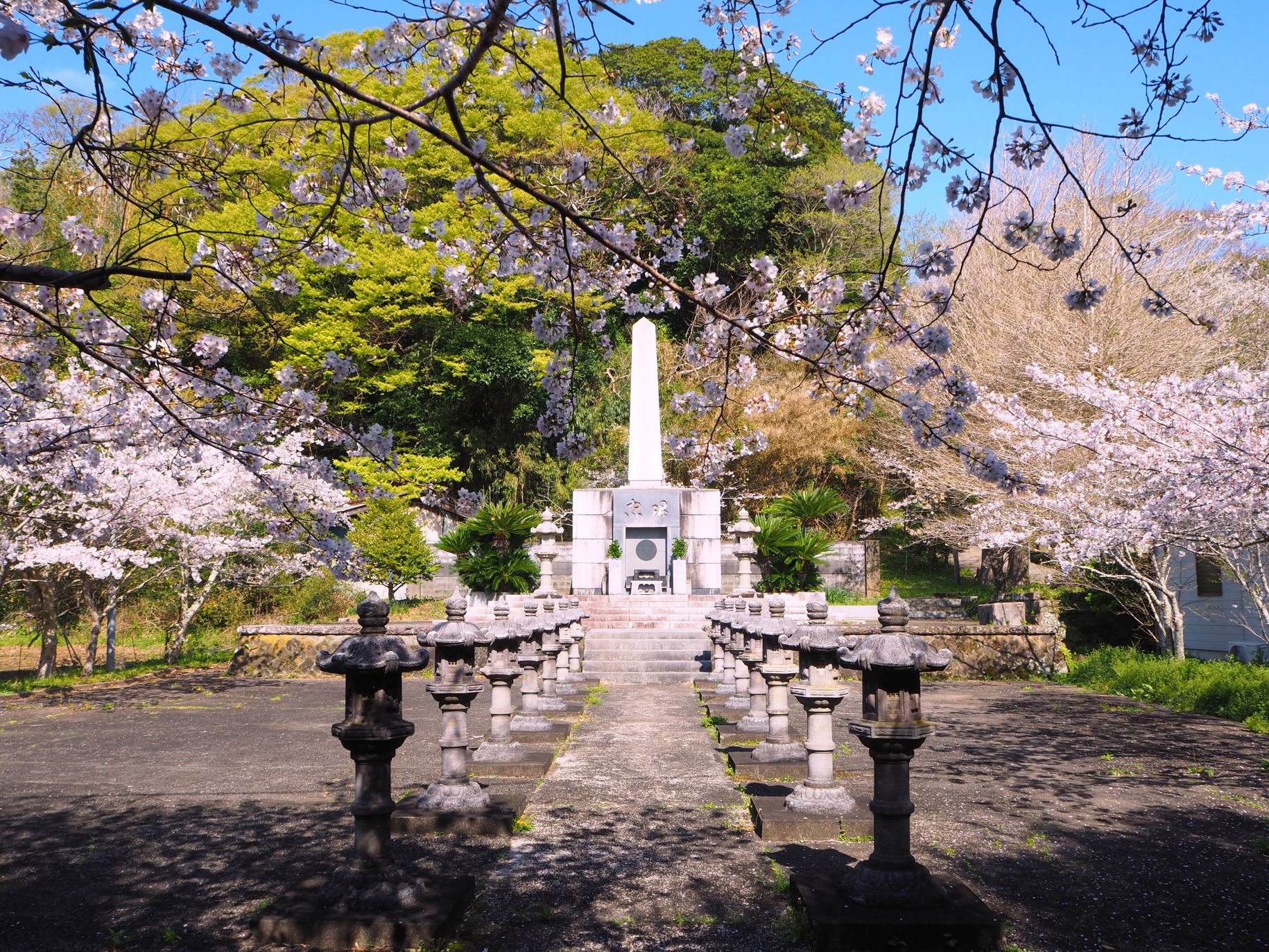 忠霊塔の桜/高家神社
