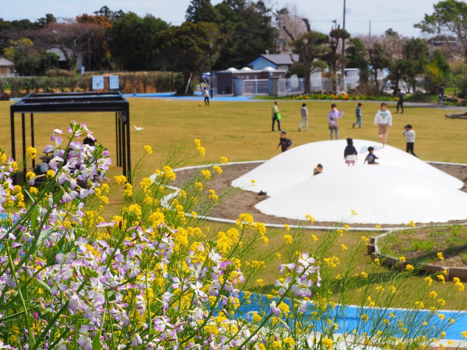 なみはらくじらパーク/和田地区