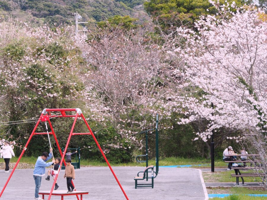 なみはらくじらパーク/和田地区