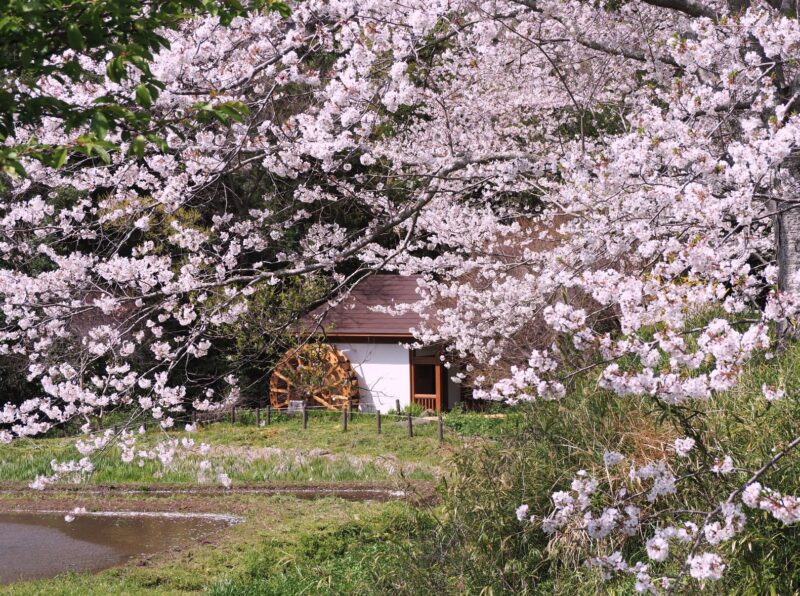 吉井の水車小屋/富山地区