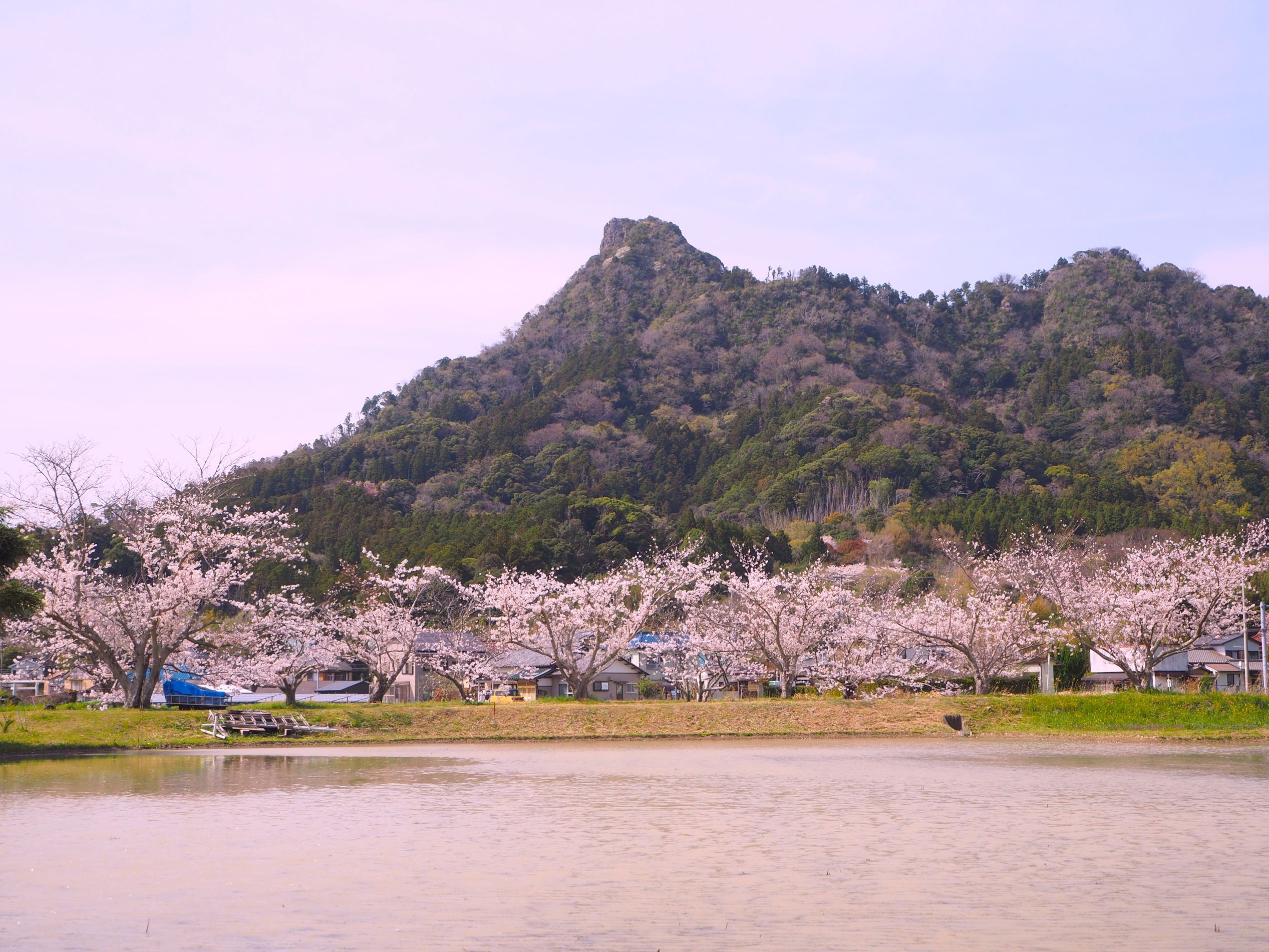 伊予ヶ岳/富山地区