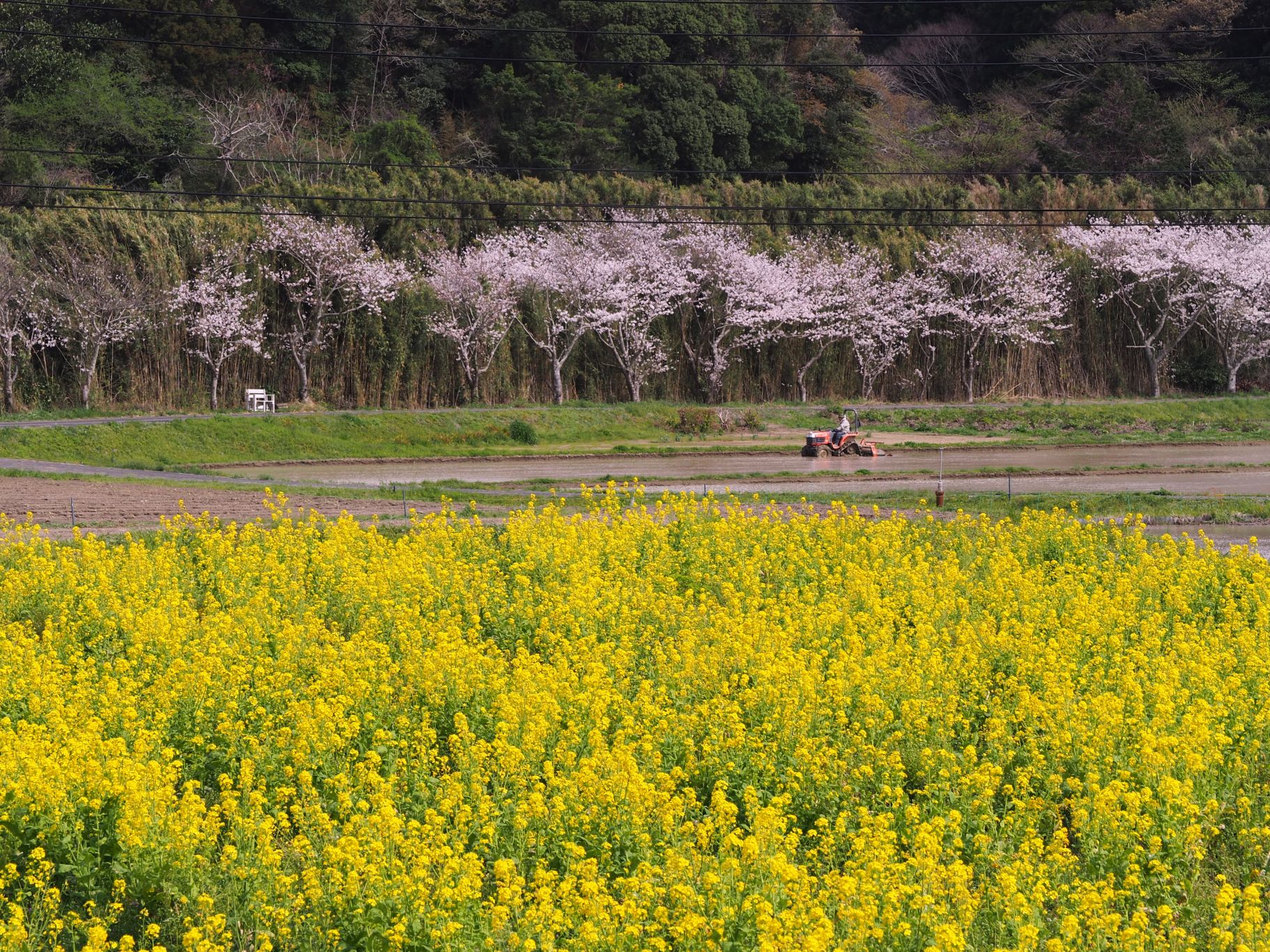 田植え前/富山地区