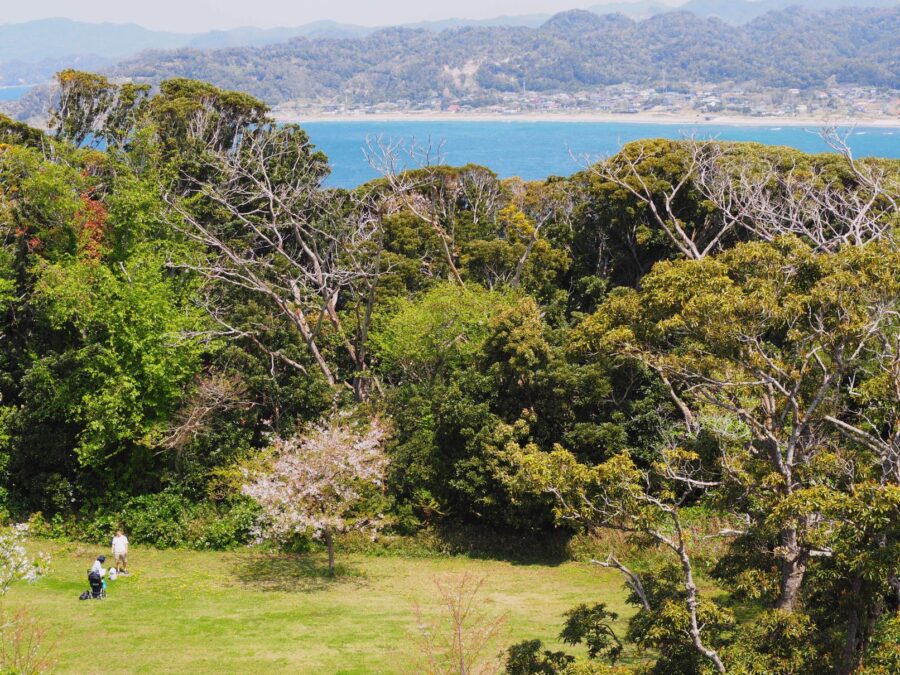 展望塔から/大房岬