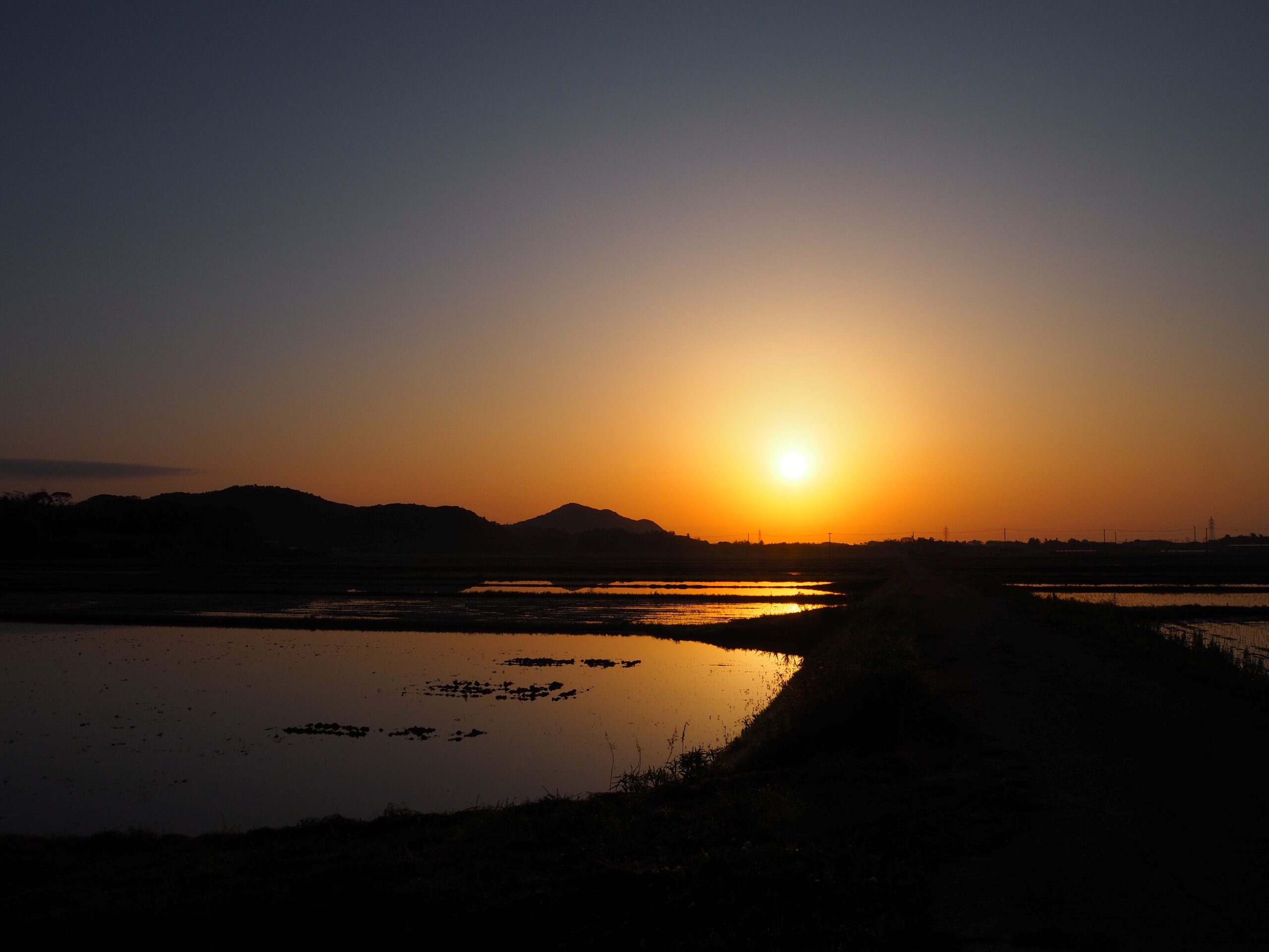 早朝の水田/丸山地区