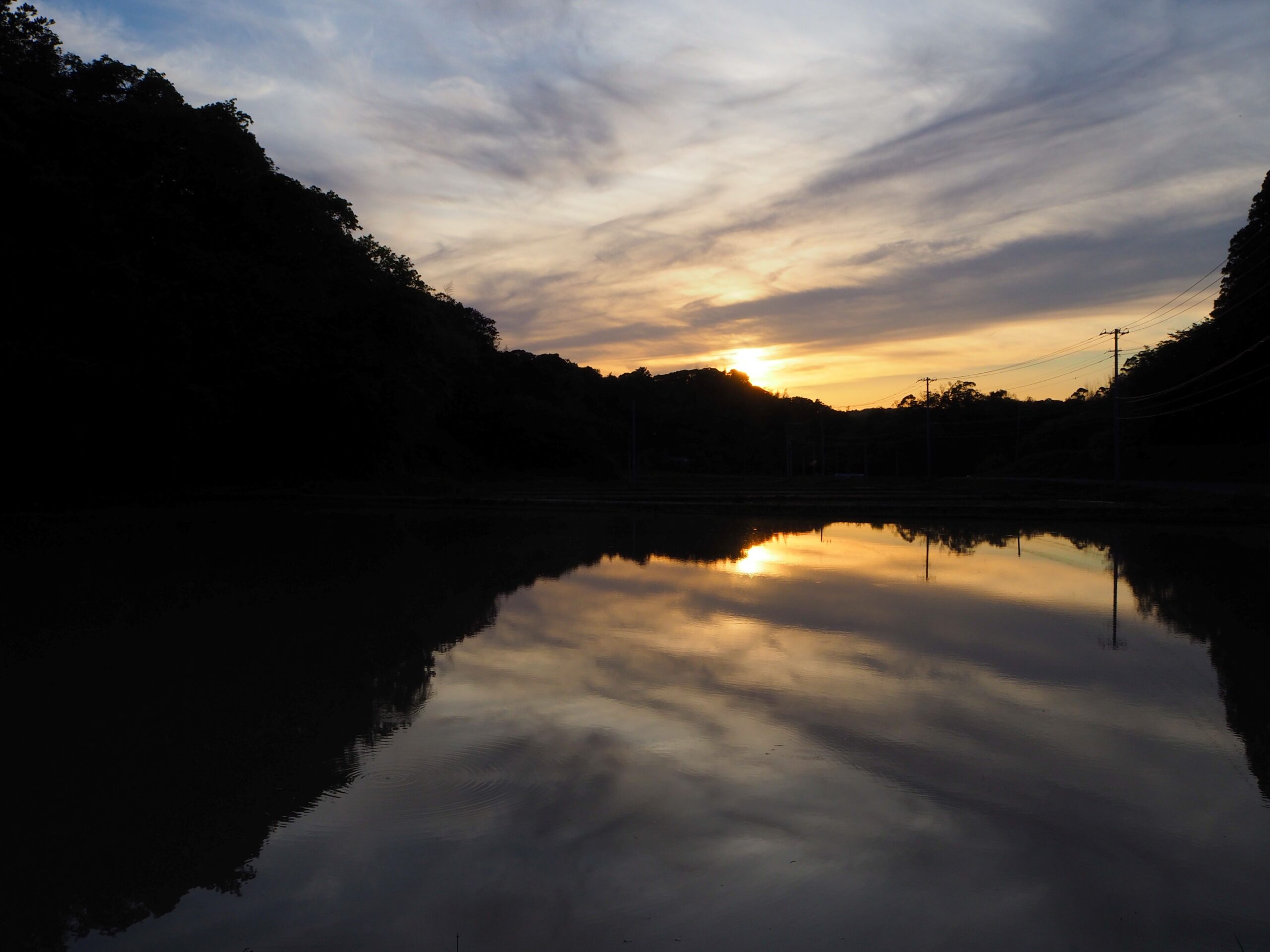 夕暮れの水田/千倉地区