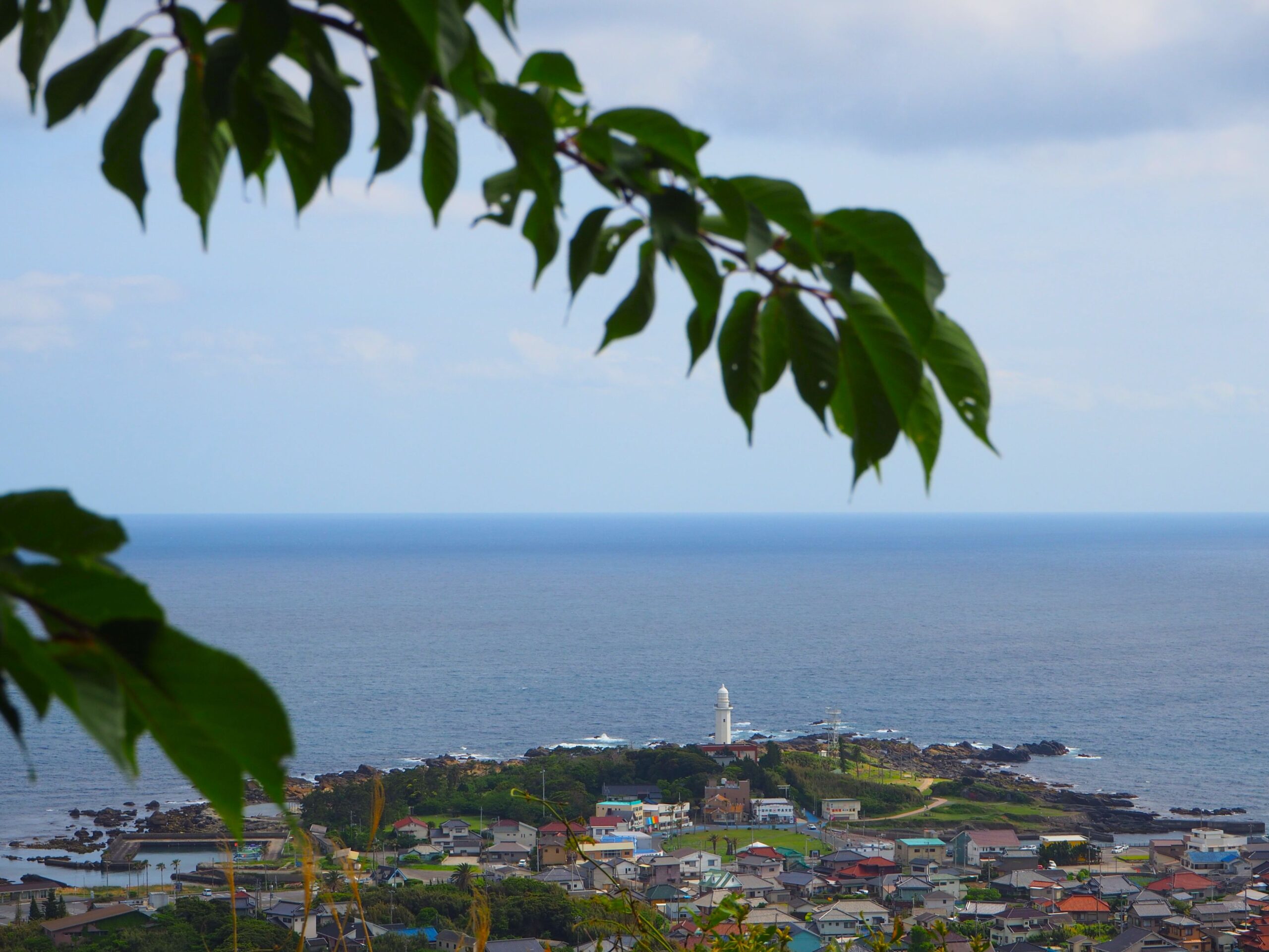 城山展望台/白浜地区