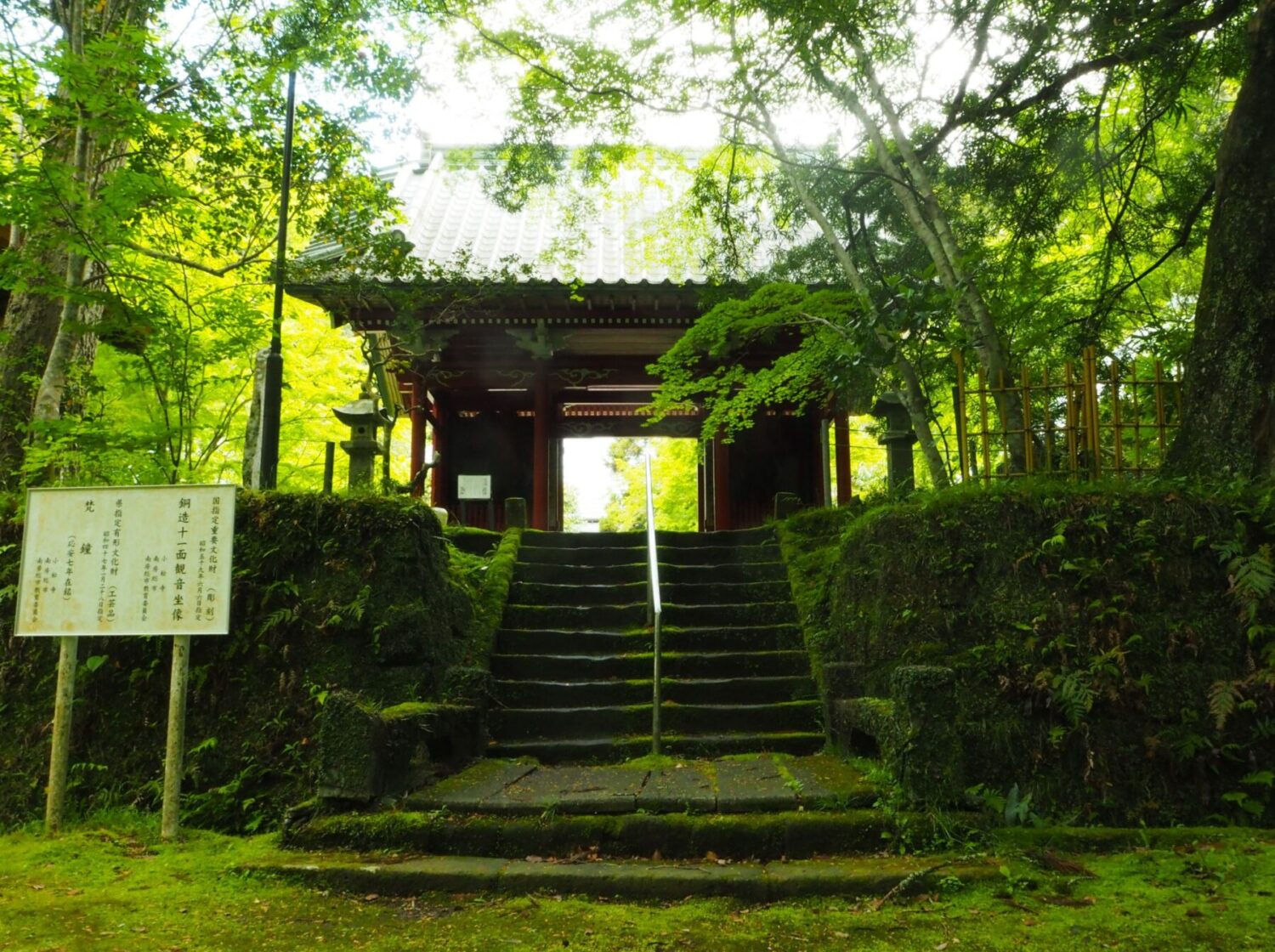 新緑/小松寺