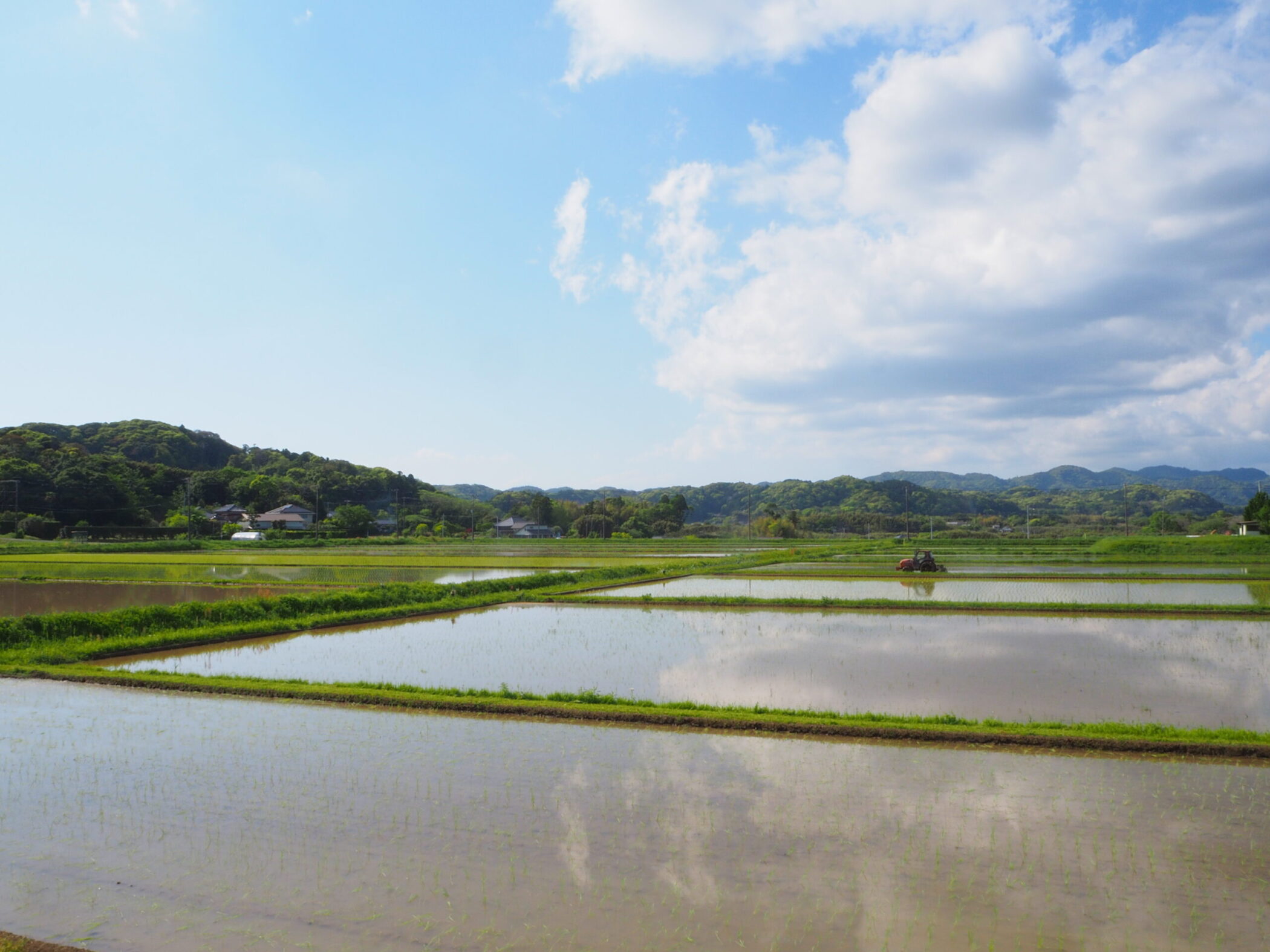 沓見の水田/丸山地区