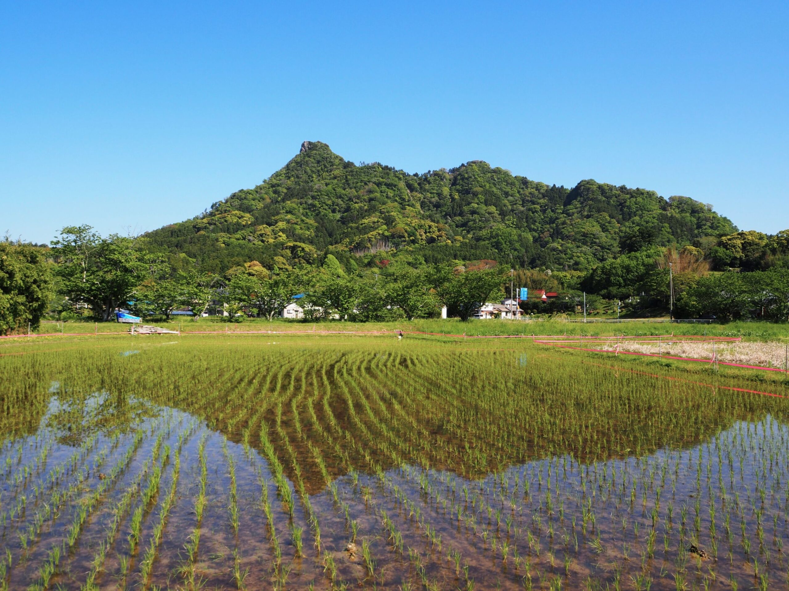伊予ヶ岳/富山地区