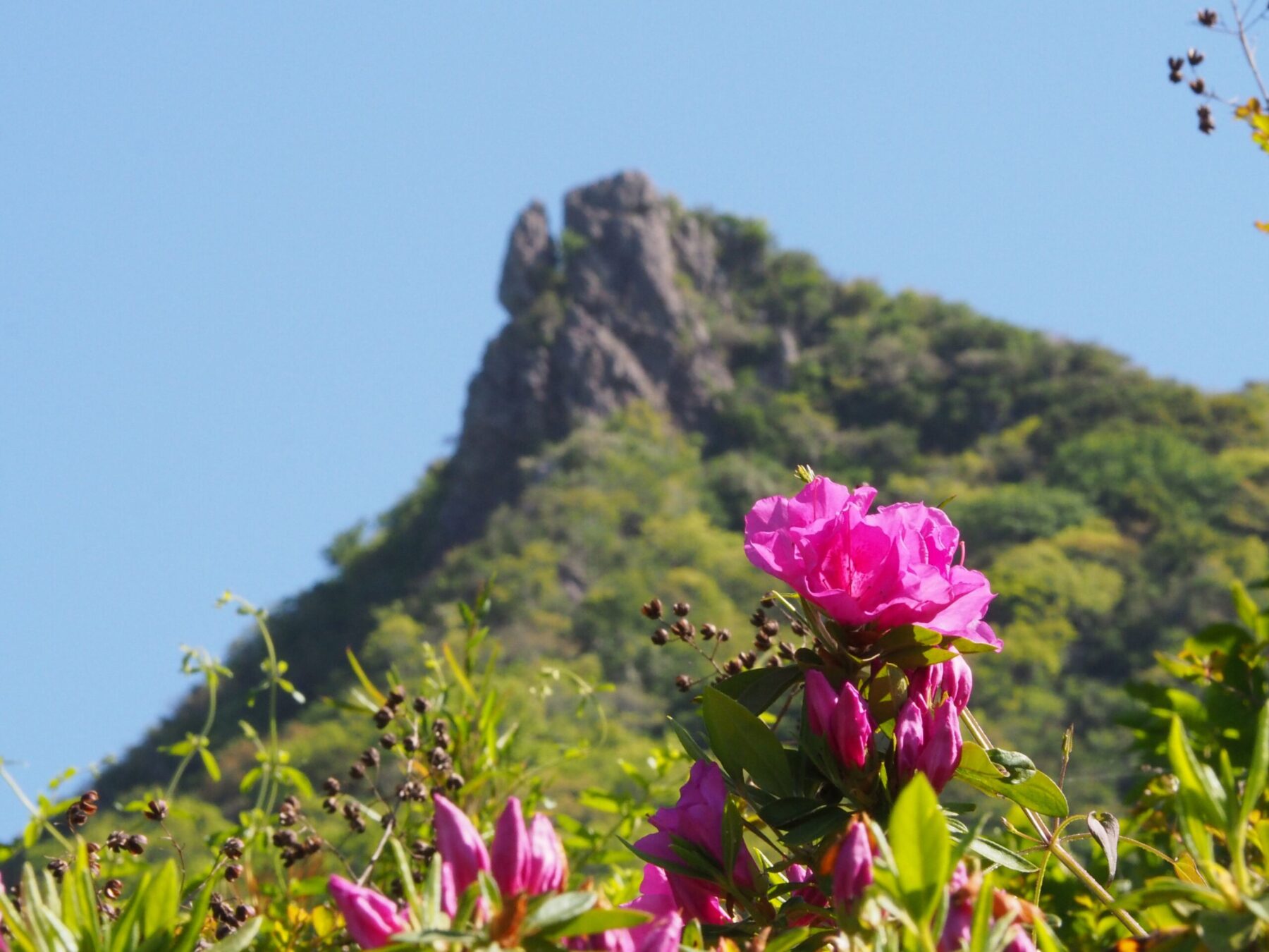 伊予ヶ岳/富山地区