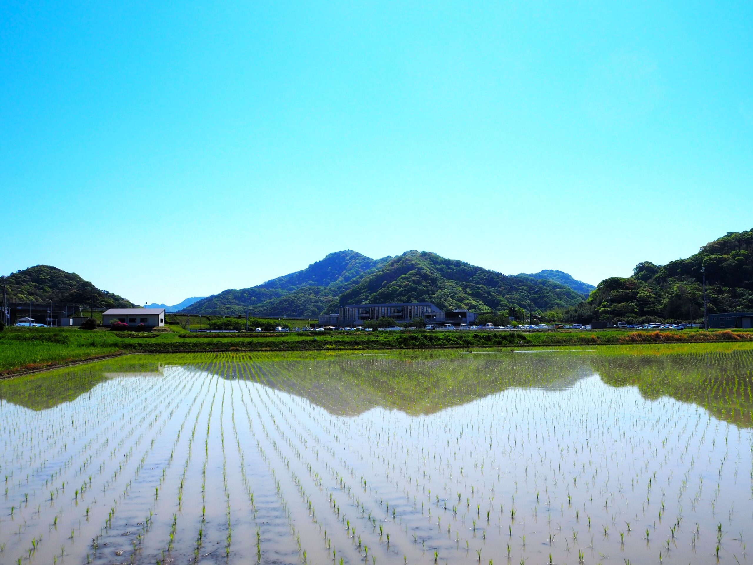 水田と富山/富山地区