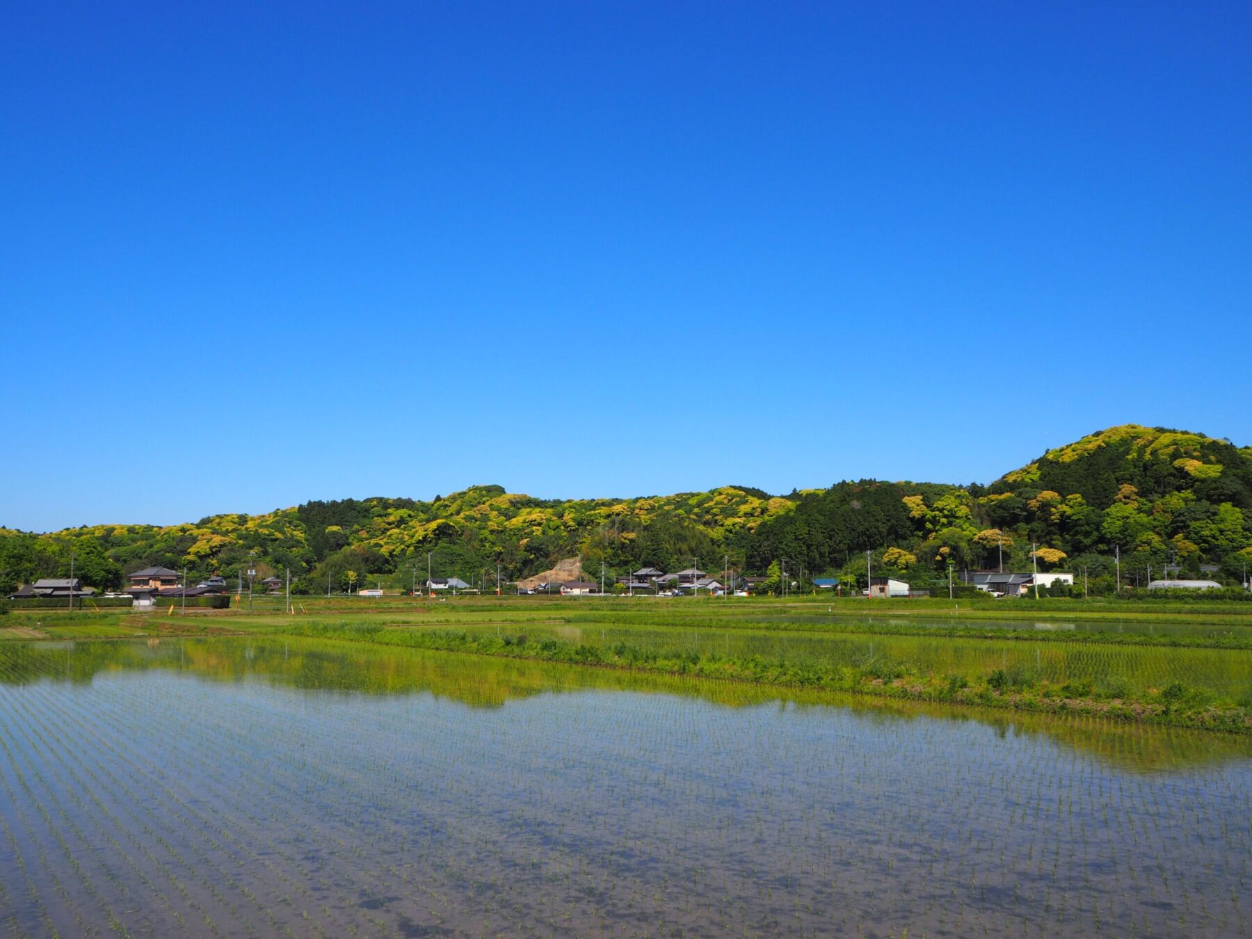 水田/丸山地区