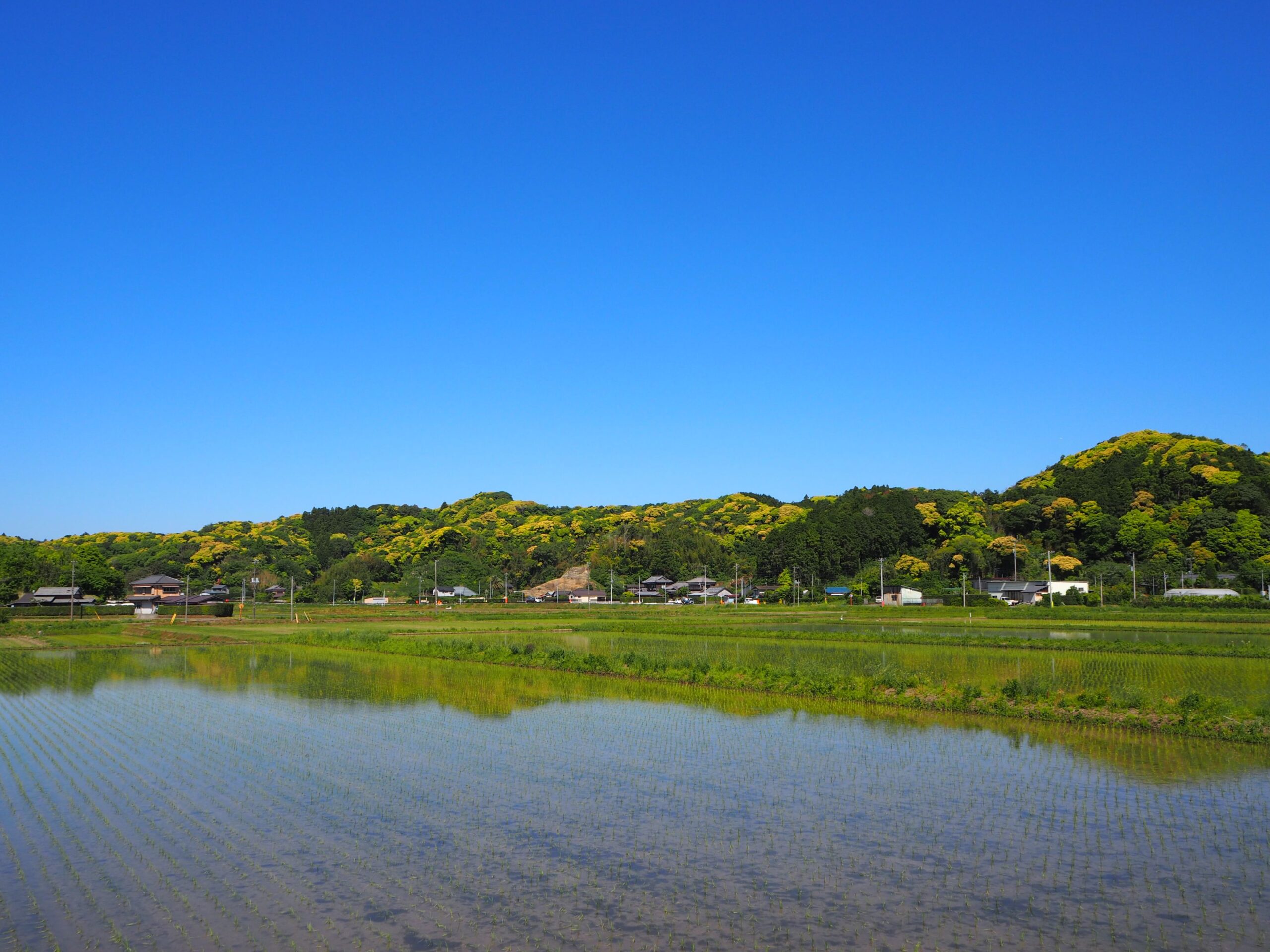 水田/丸山地区