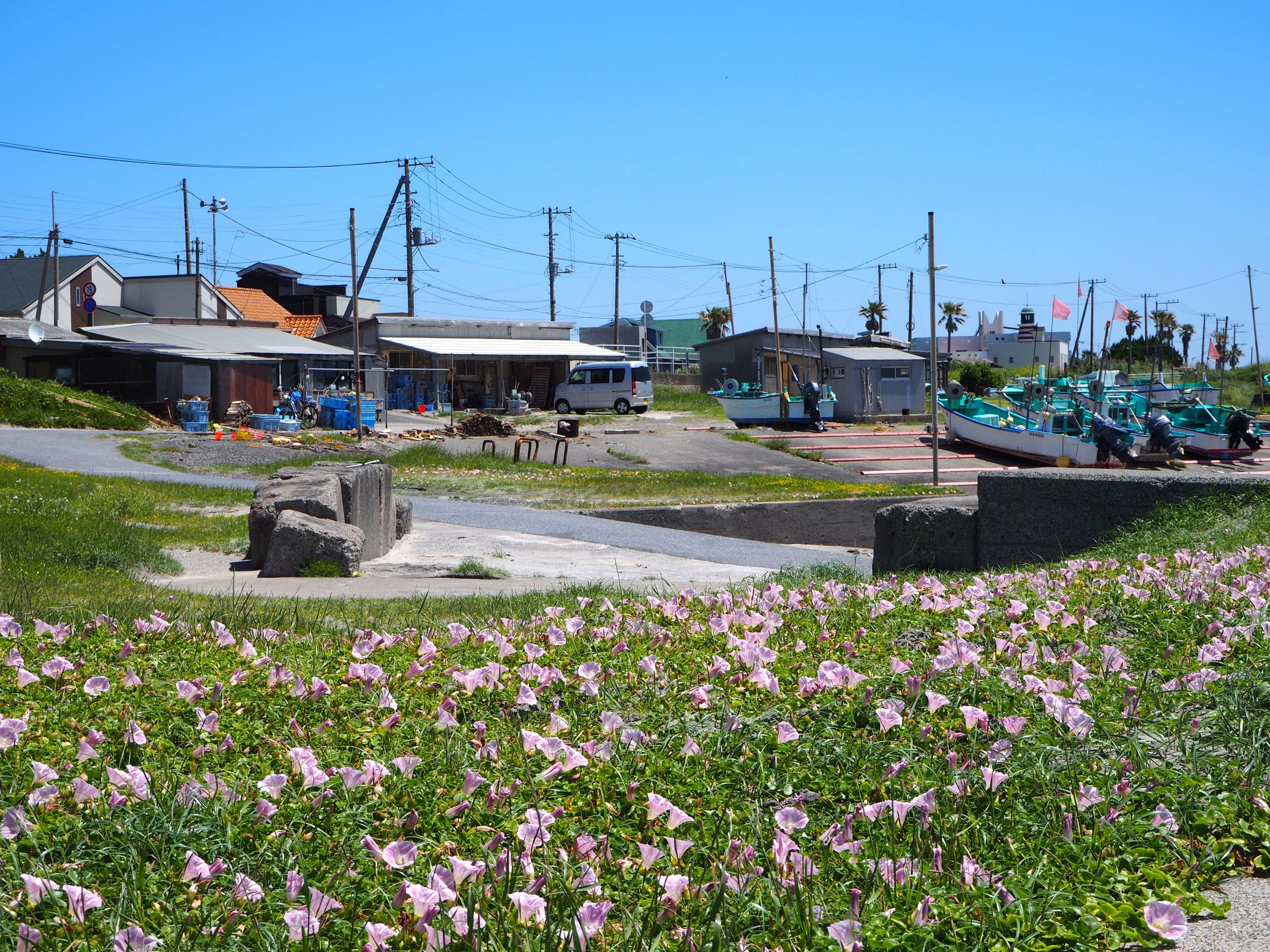 名倉海岸/白浜地区