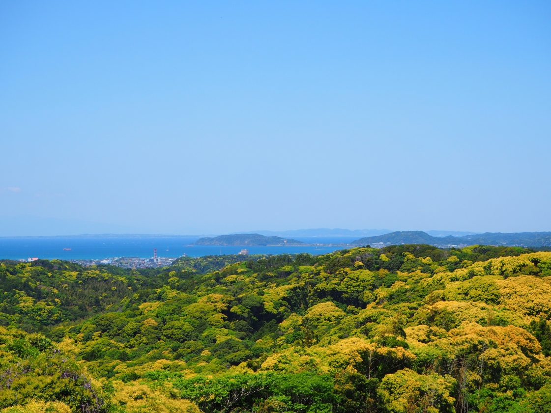新緑/グリーンライン